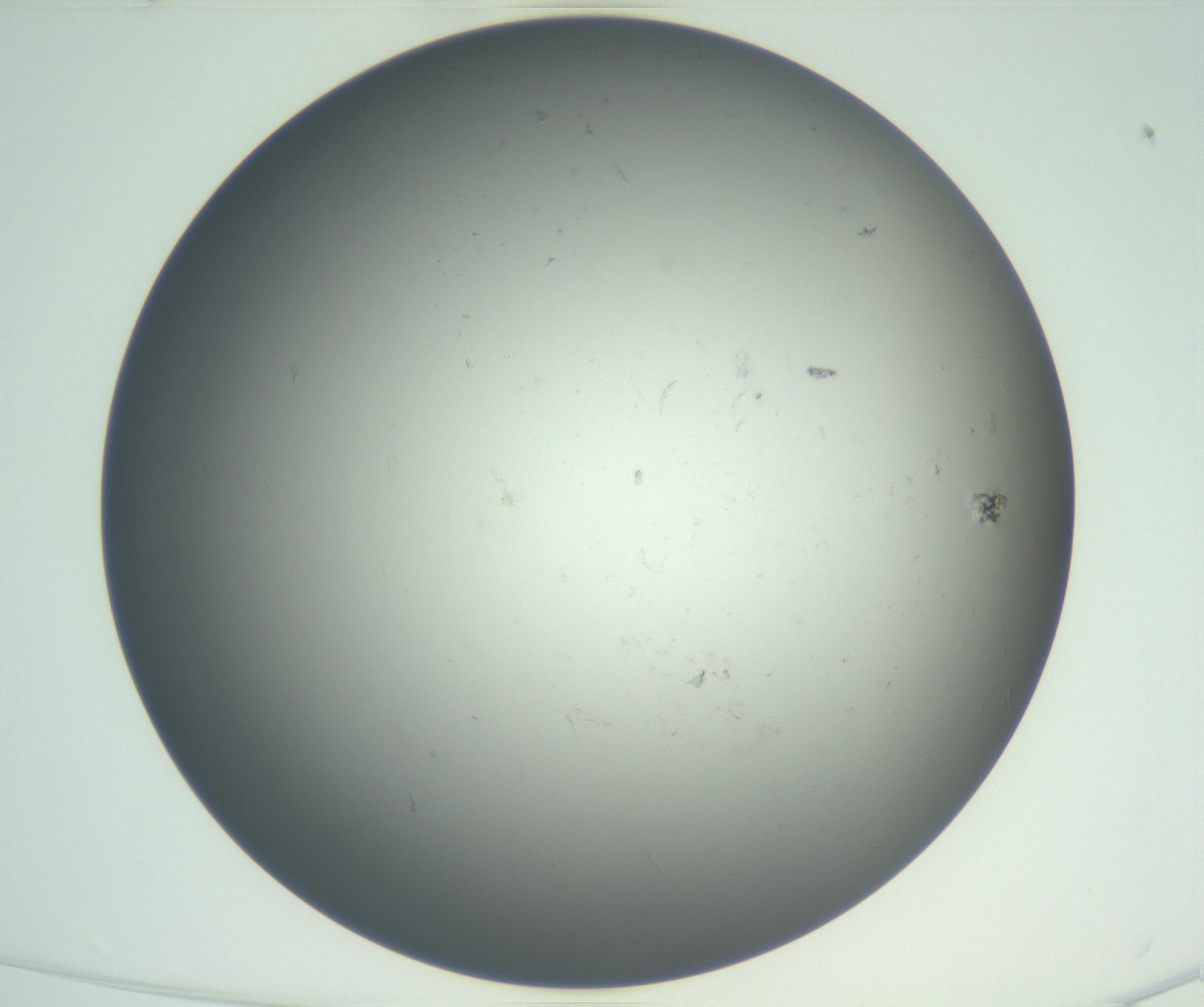 RI01_03_000_0212_Proj1_Clon1_MC_0000MC102865_003_161022_12_01_02_00_99_002_001_RAI.jpg