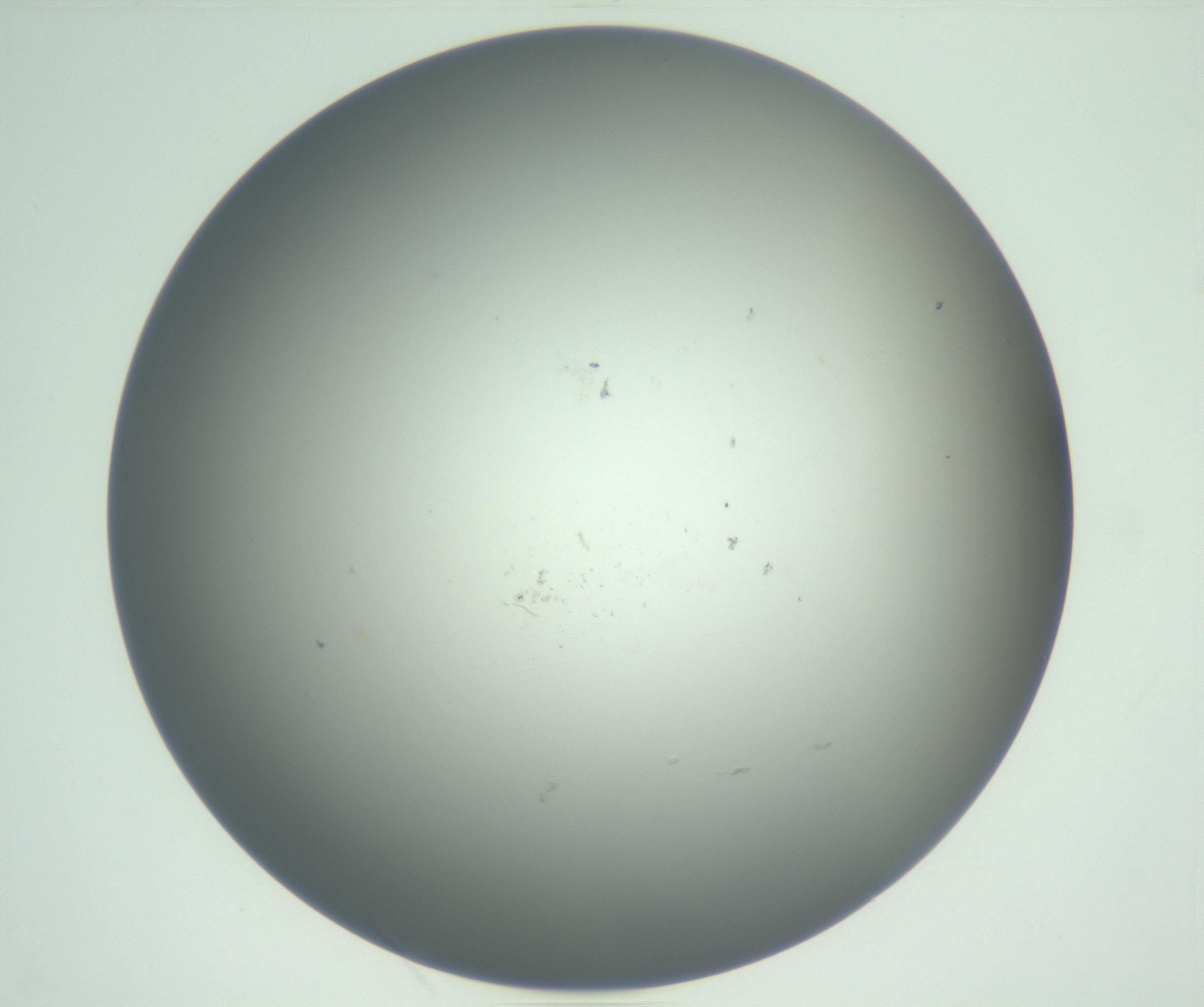 RI01_03_000_0212_Proj1_Clon1_MC_0000MC102865_003_161022_12_06_01_00_99_002_001_RAI.jpg