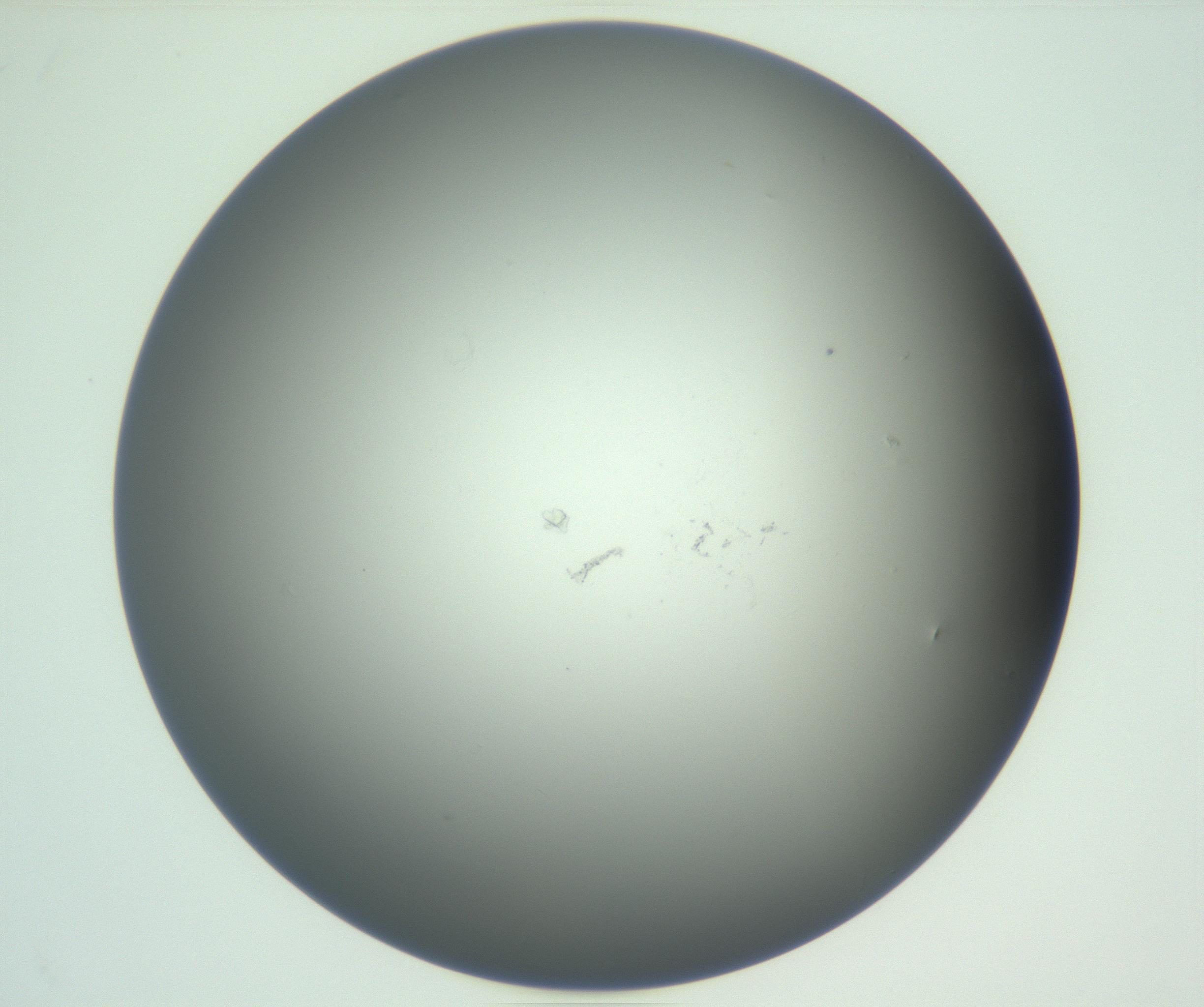 RI01_03_000_0212_Proj1_Clon1_MC_0000MC102865_003_161022_12_08_01_00_99_002_001_RAI.jpg
