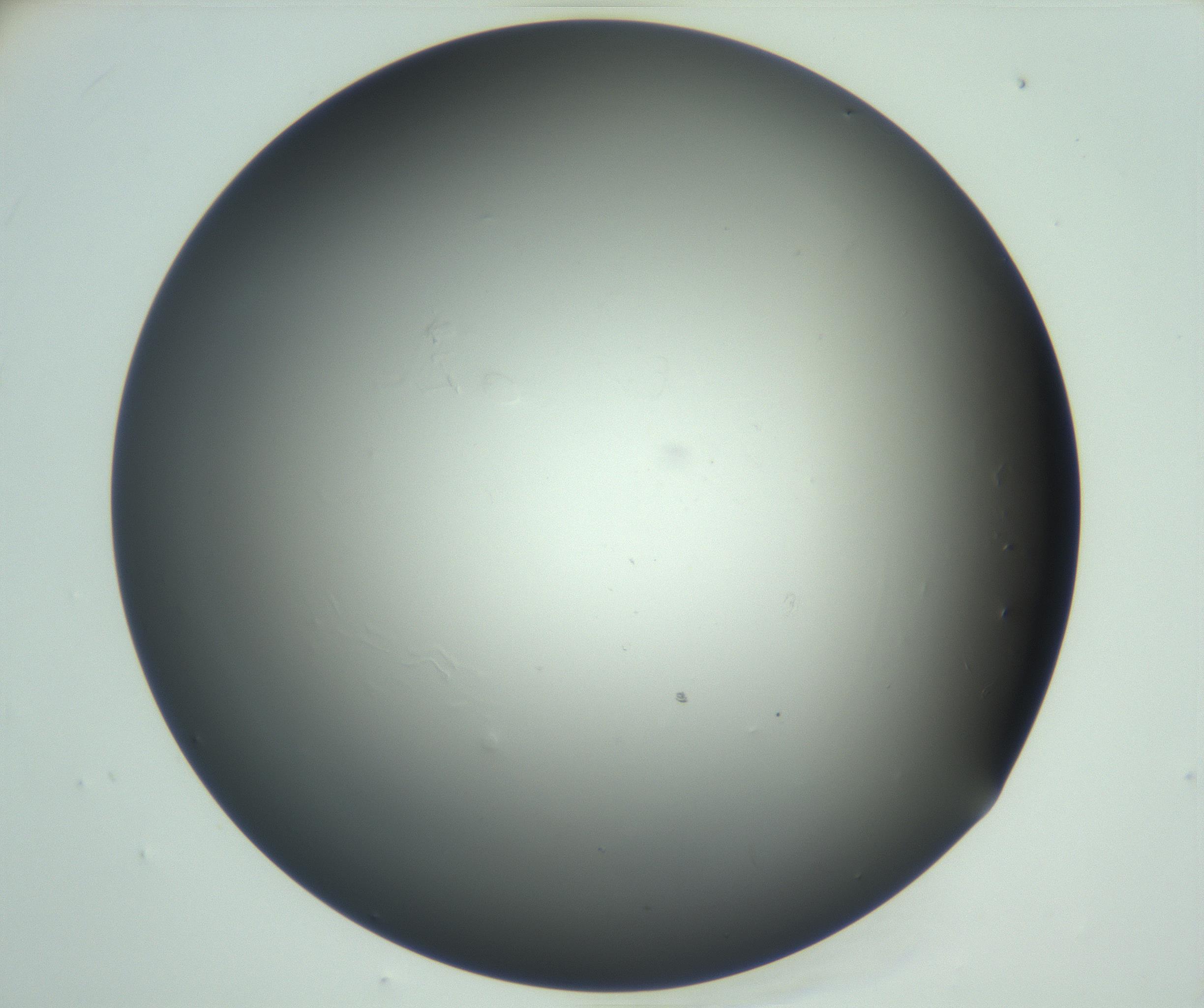 RI01_03_000_0212_Proj1_Clon1_MC_0000MC102865_003_161022_12_08_02_00_99_002_001_RAI.jpg