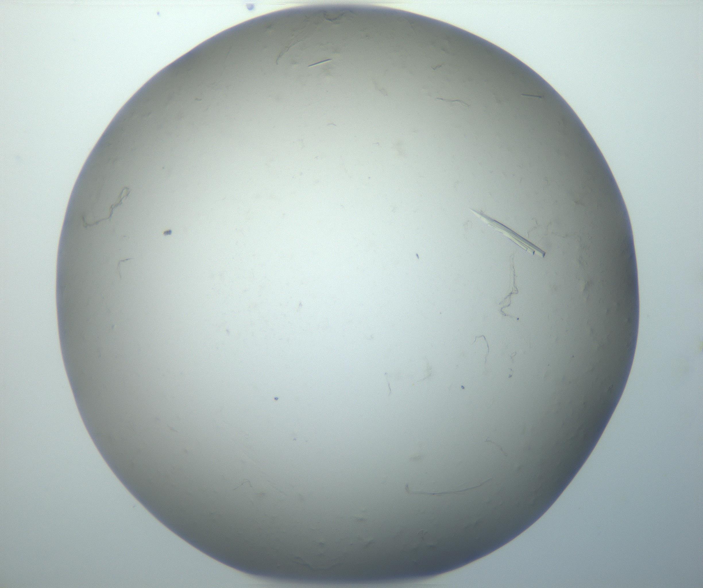 RI01_03_000_0212_Proj1_Clon1_MC_0000MC102866_007_161030_10_05_02_00_99_002_001_RAI.jpg