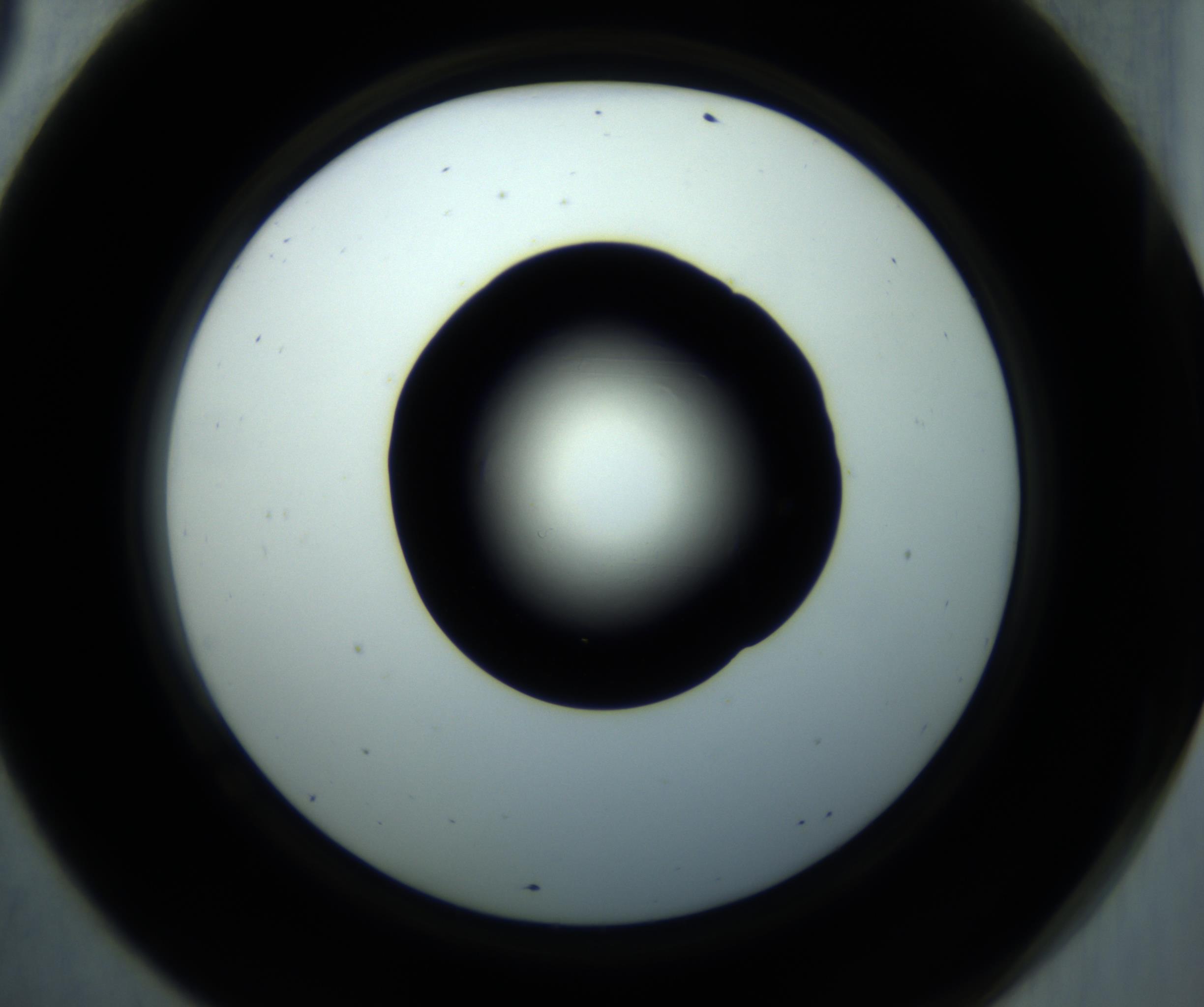 RI01_03_000_0212_Proj1_Clon1_MC_0000MC102867_001_161020_09_06_02_00_98_002_001_RAI.jpg