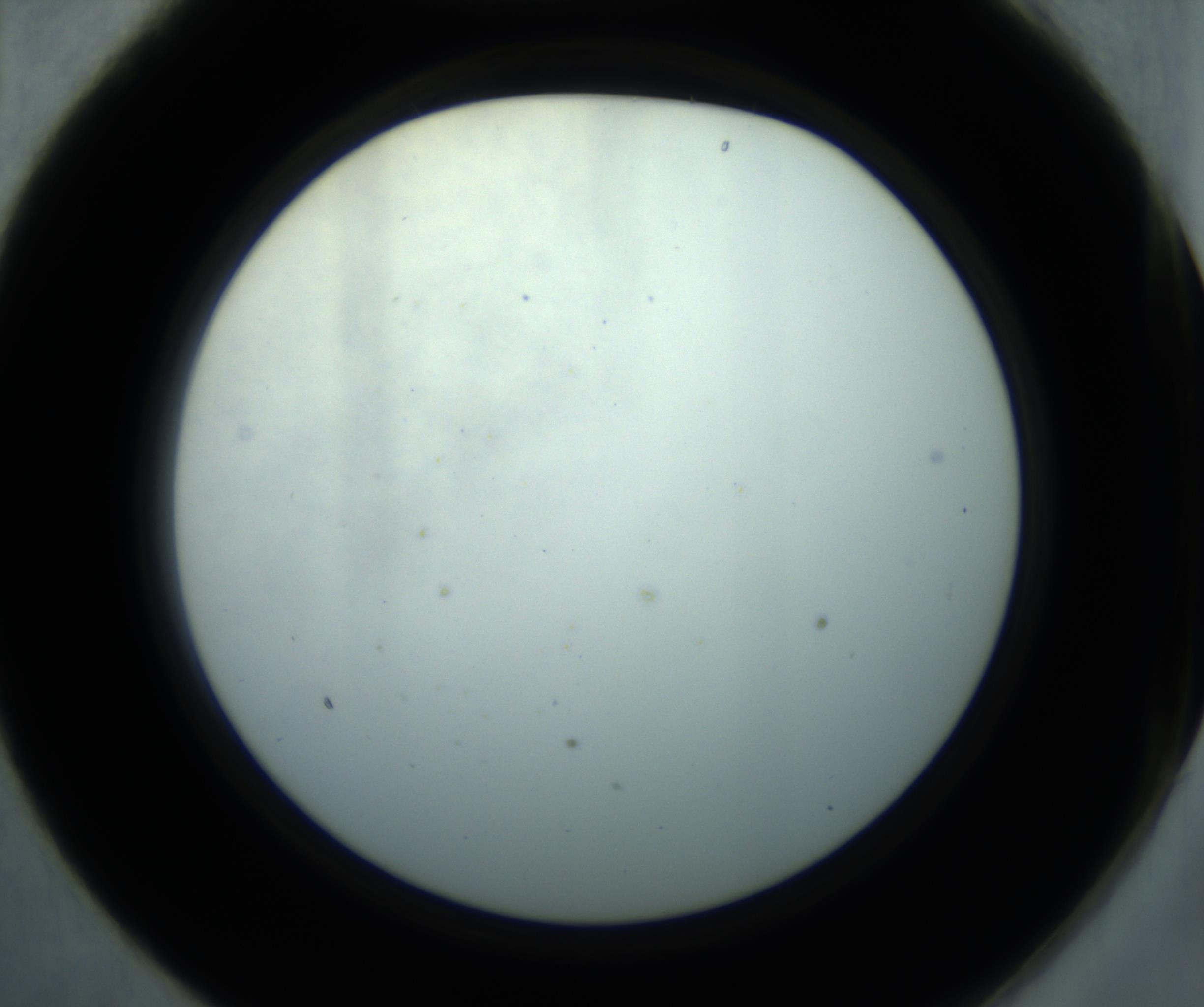 RI01_03_000_0212_Proj1_Clon1_MC_0000MC102869_001_161021_01_02_02_00_98_002_001_RAI.jpg