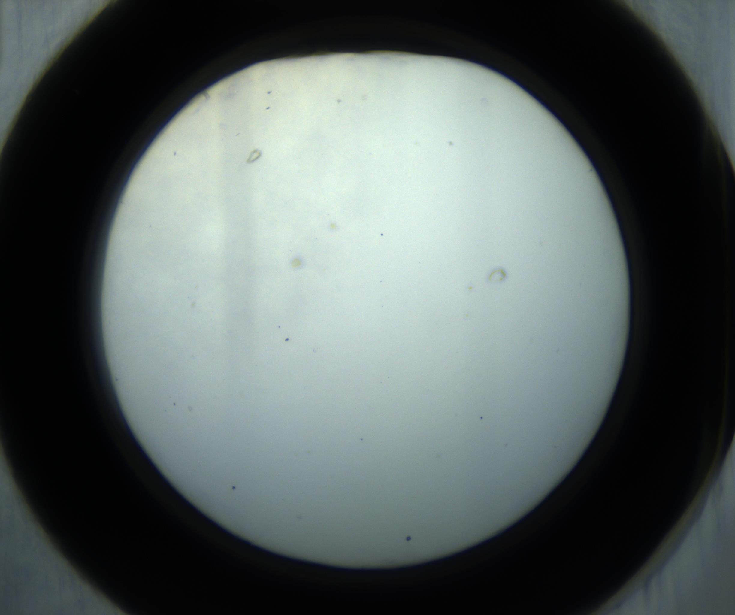 RI01_03_000_0212_Proj1_Clon1_MC_0000MC102869_001_161021_01_03_02_00_98_002_001_RAI.jpg
