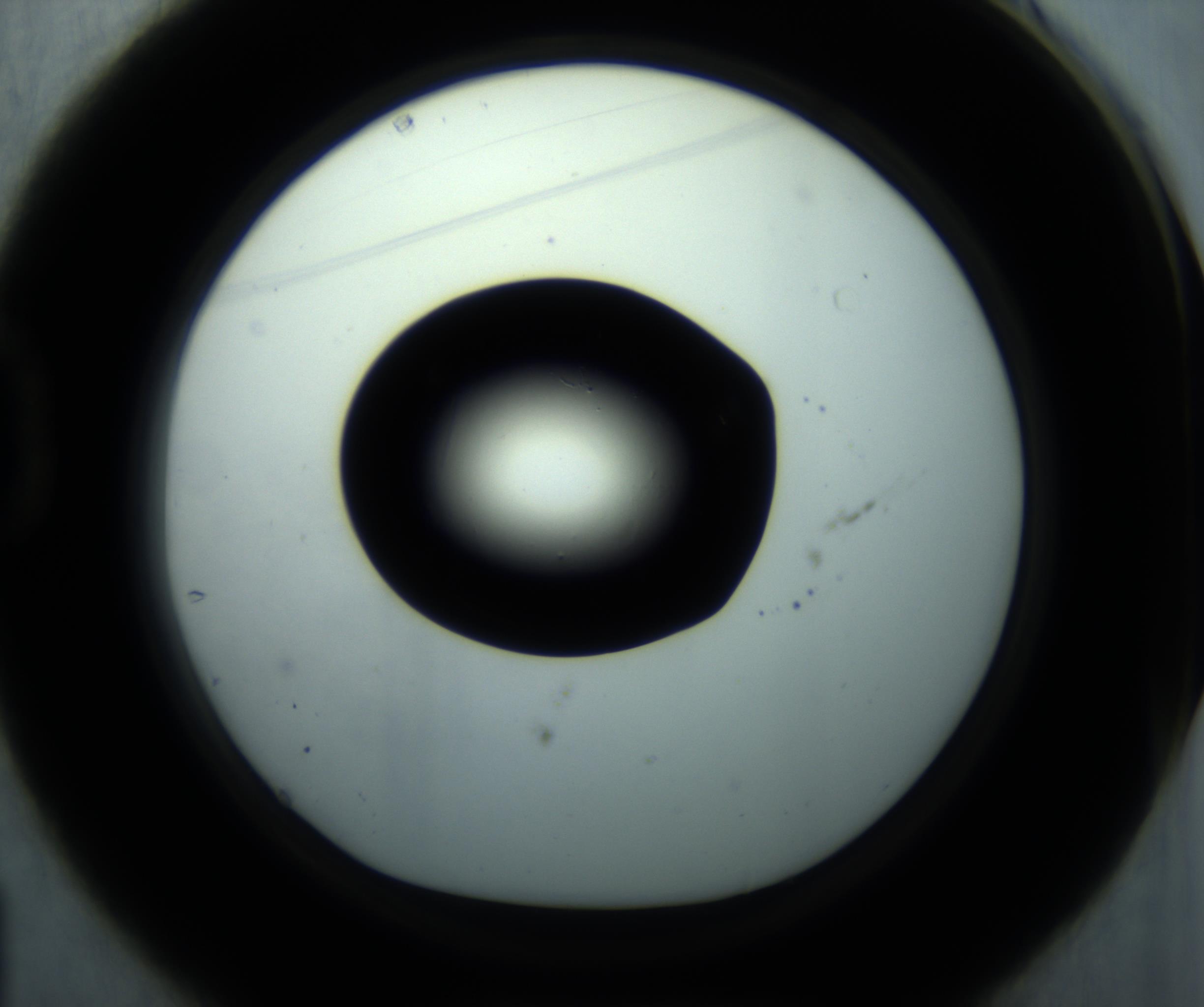 RI01_03_000_0212_Proj1_Clon1_MC_0000MC102869_001_161021_01_04_01_00_98_002_001_RAI.jpg