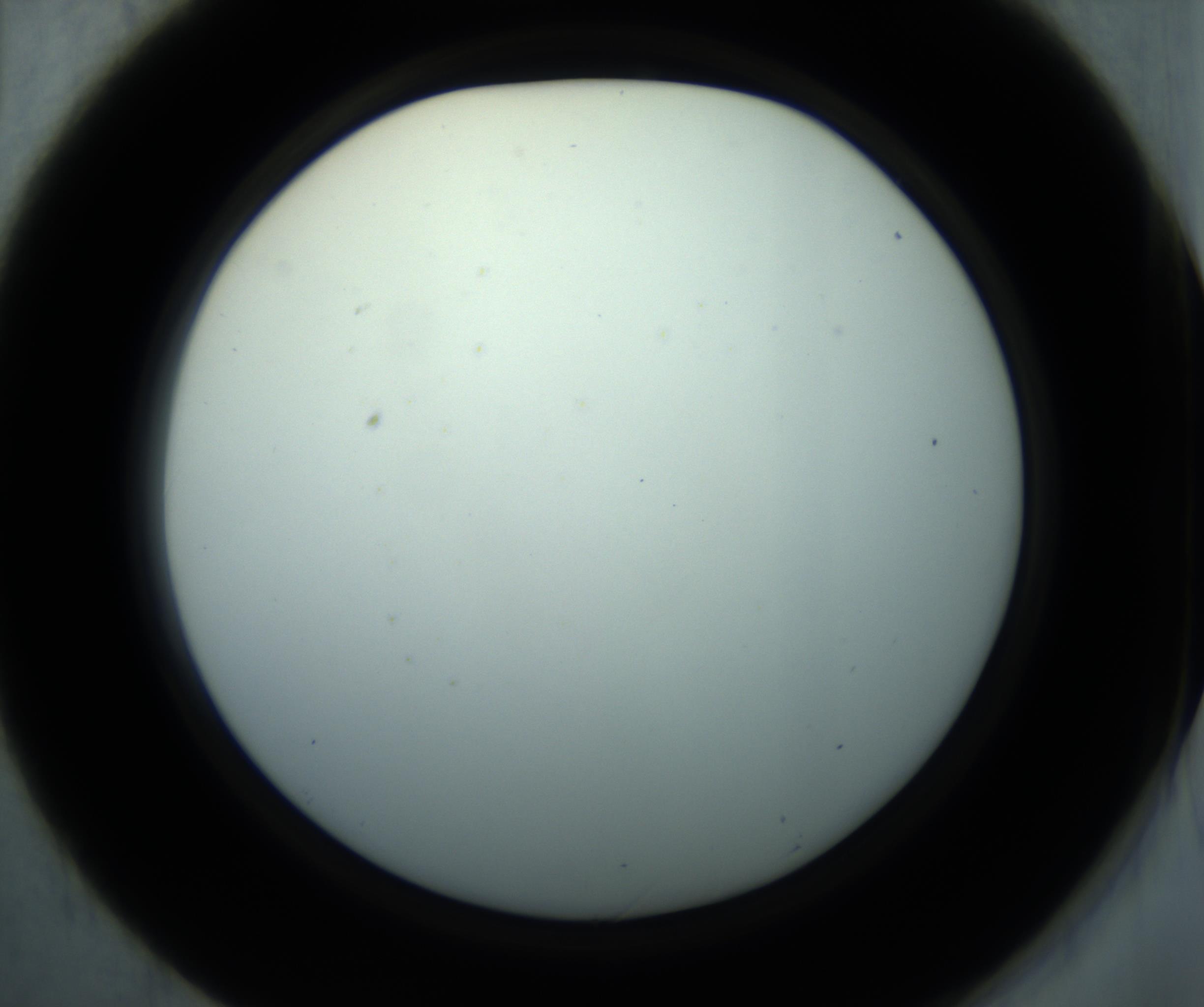 RI01_03_000_0212_Proj1_Clon1_MC_0000MC102869_001_161021_01_04_02_00_98_002_001_RAI.jpg