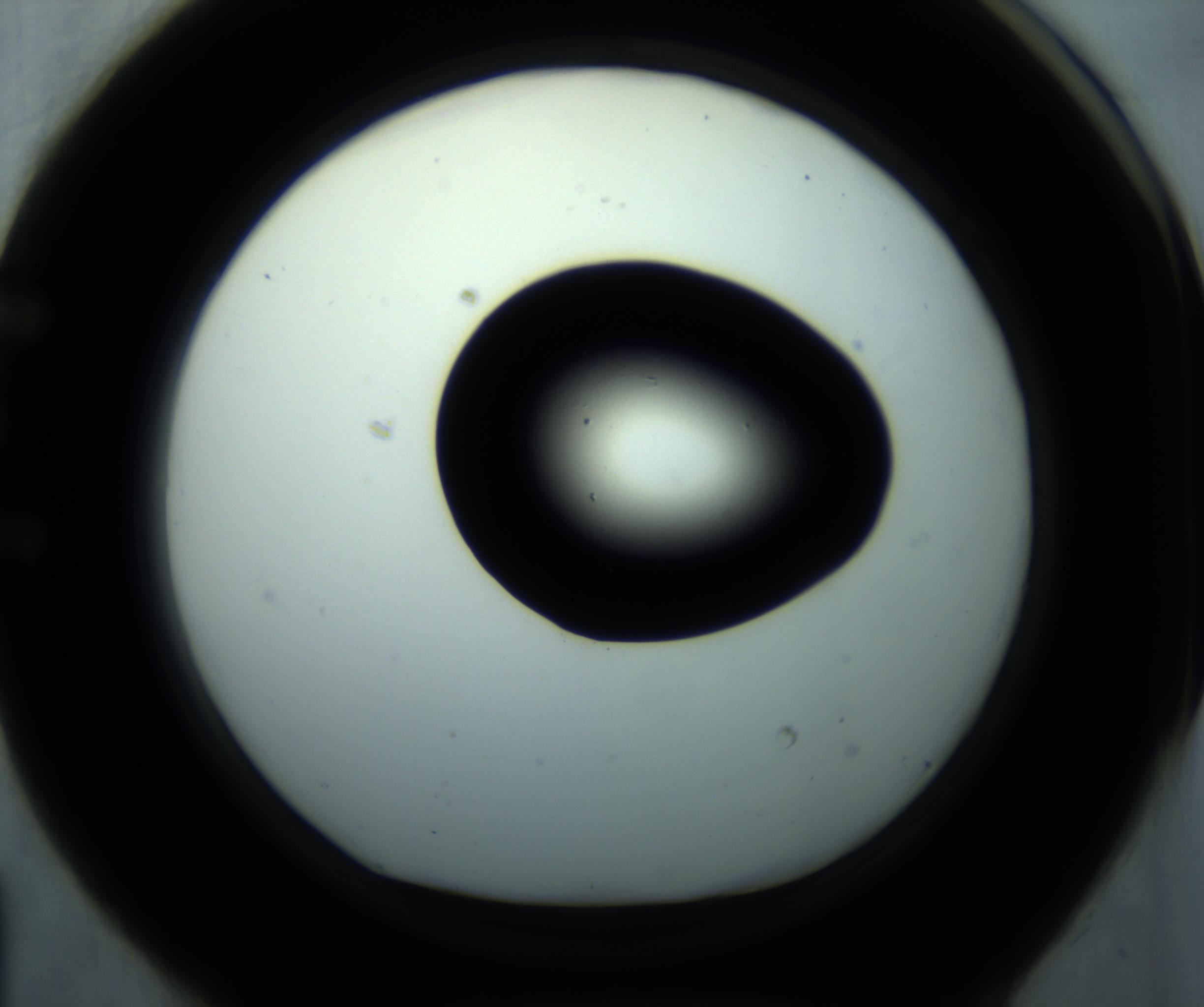 RI01_03_000_0212_Proj1_Clon1_MC_0000MC102869_001_161021_01_05_01_00_98_002_001_RAI.jpg