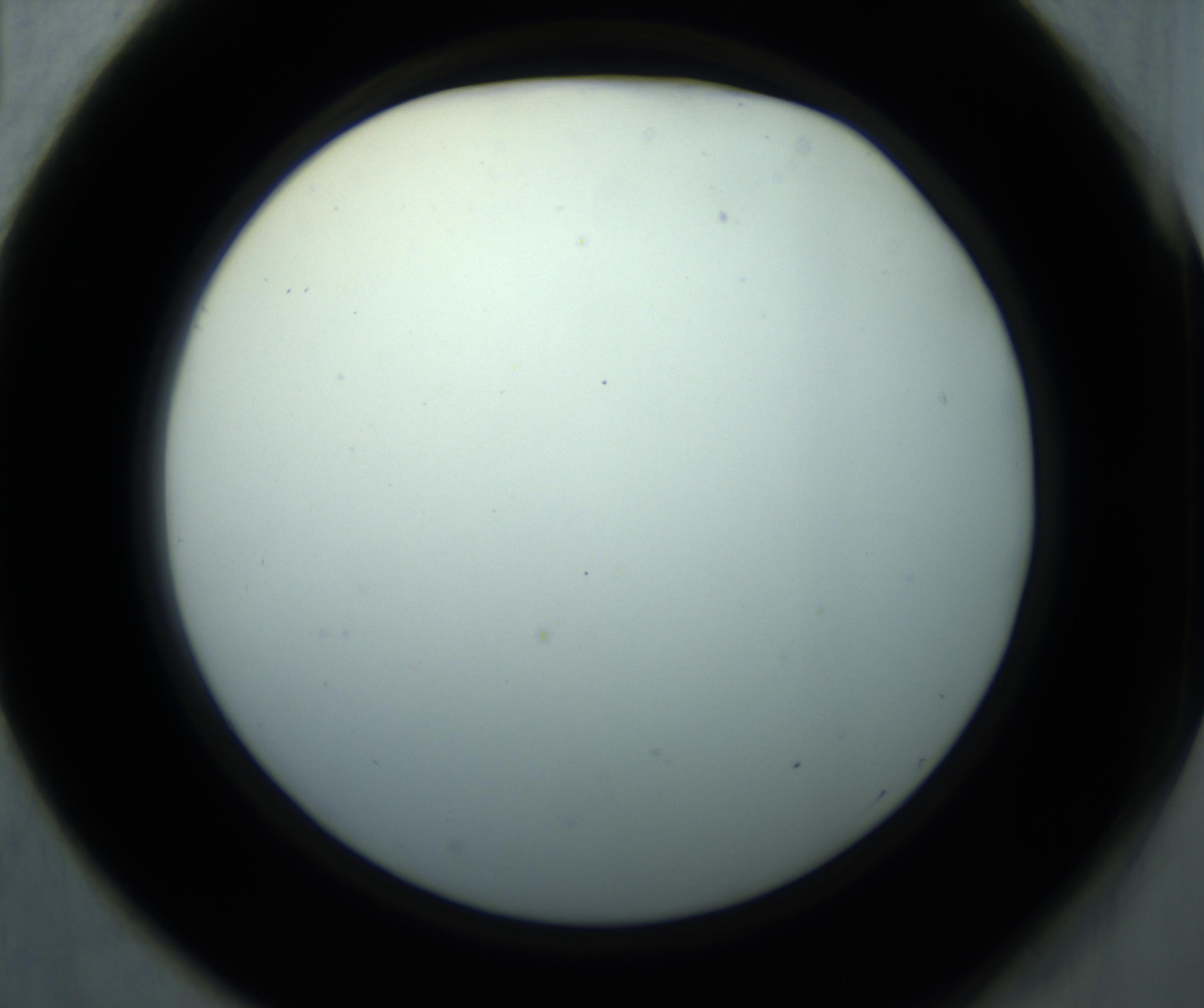 RI01_03_000_0212_Proj1_Clon1_MC_0000MC102869_001_161021_01_05_02_00_98_002_001_RAI.jpg