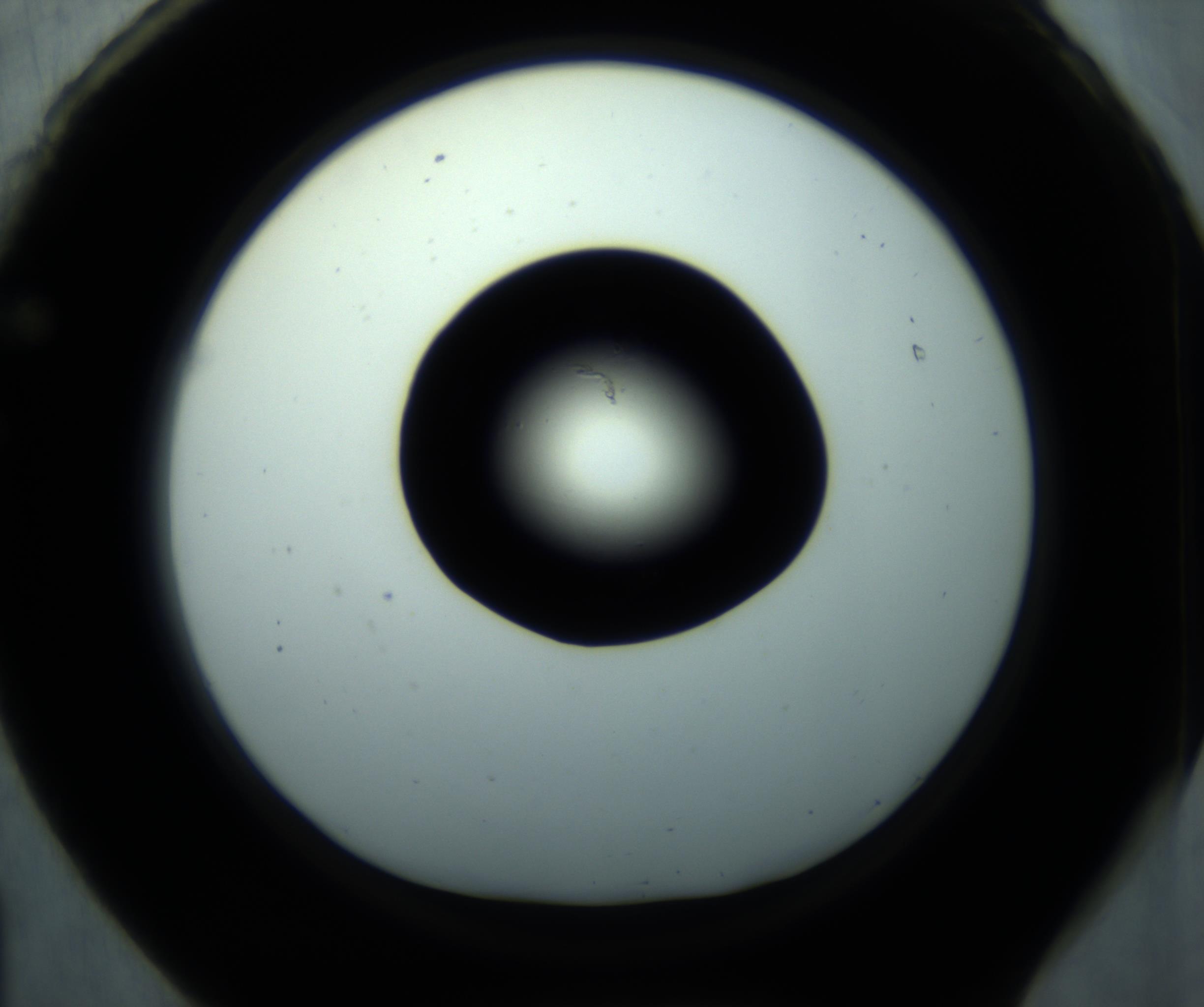 RI01_03_000_0212_Proj1_Clon1_MC_0000MC102869_001_161021_01_06_01_00_98_002_001_RAI.jpg