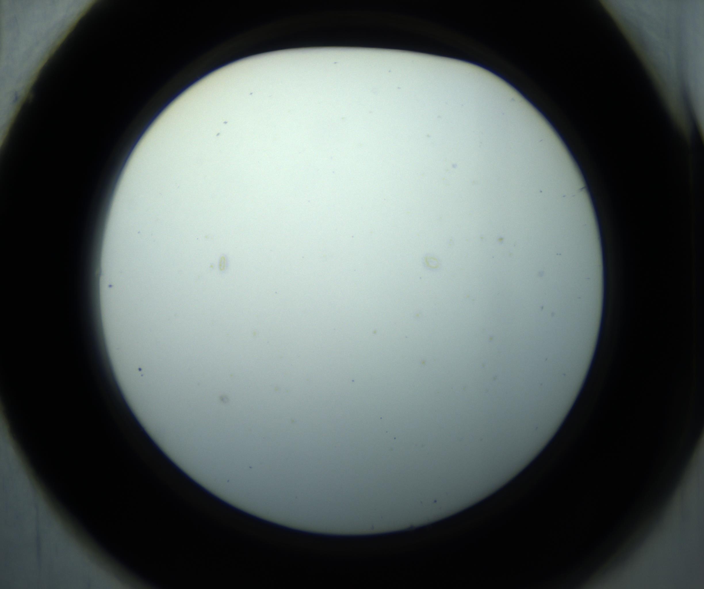RI01_03_000_0212_Proj1_Clon1_MC_0000MC102869_001_161021_01_06_02_00_98_002_001_RAI.jpg