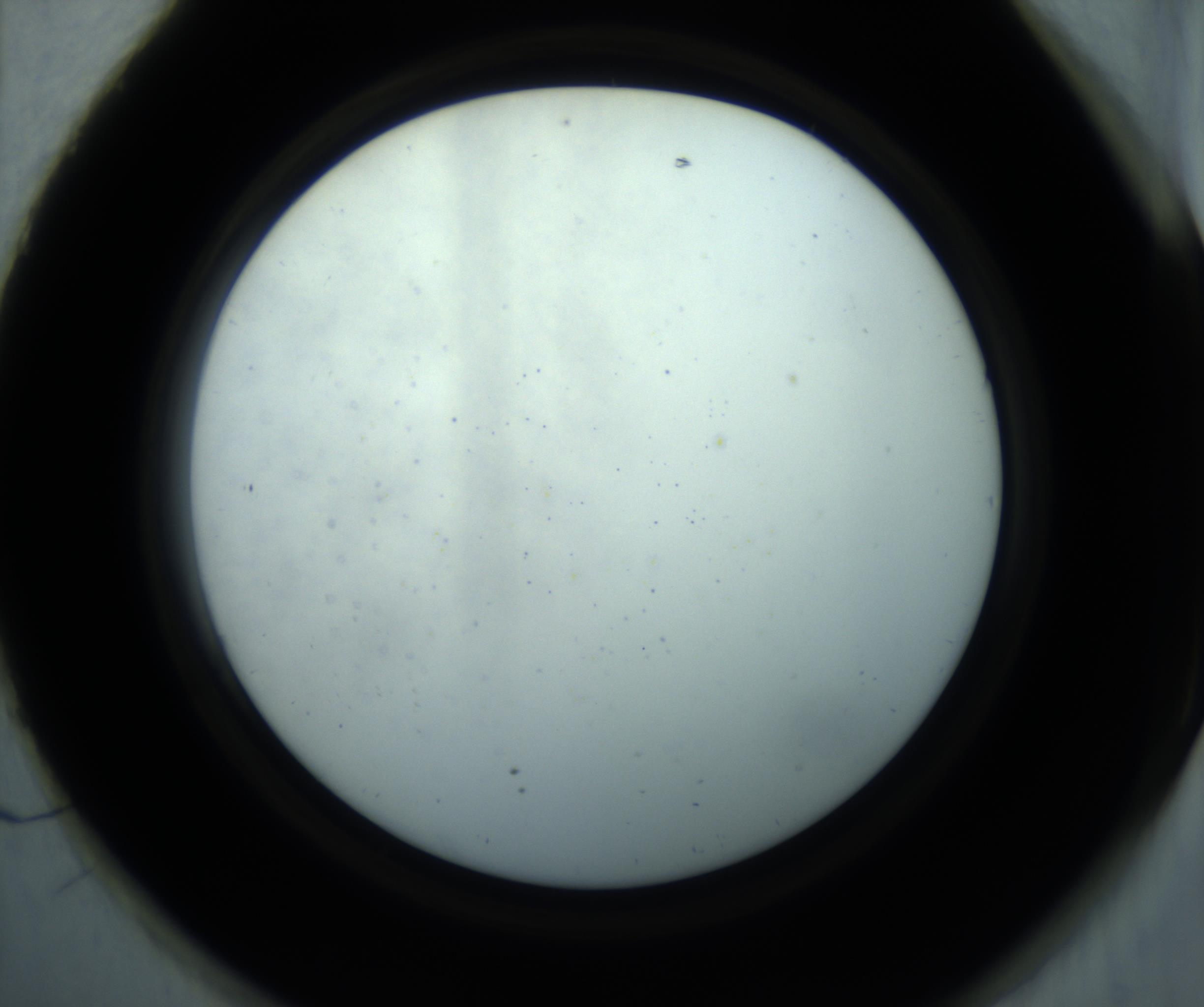 RI01_03_000_0212_Proj1_Clon1_MC_0000MC102869_001_161021_01_07_02_00_98_002_001_RAI.jpg