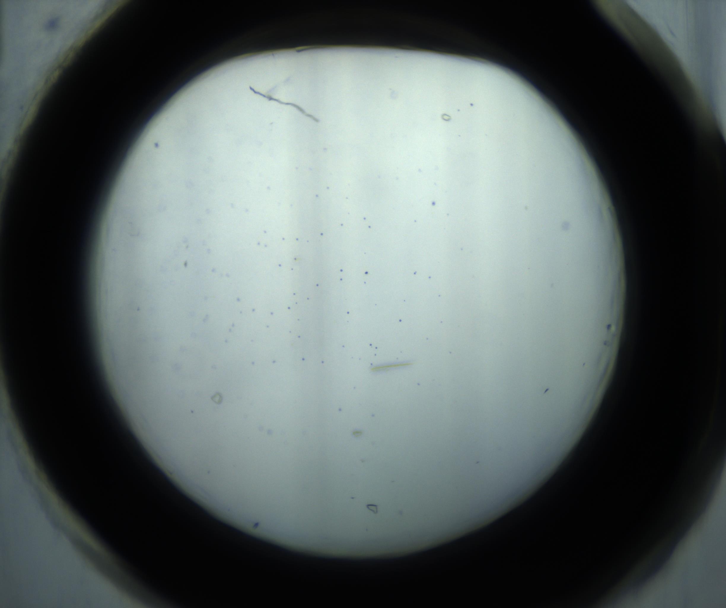 RI01_03_000_0212_Proj1_Clon1_MC_0000MC102869_001_161021_01_08_02_00_98_002_001_RAI.jpg