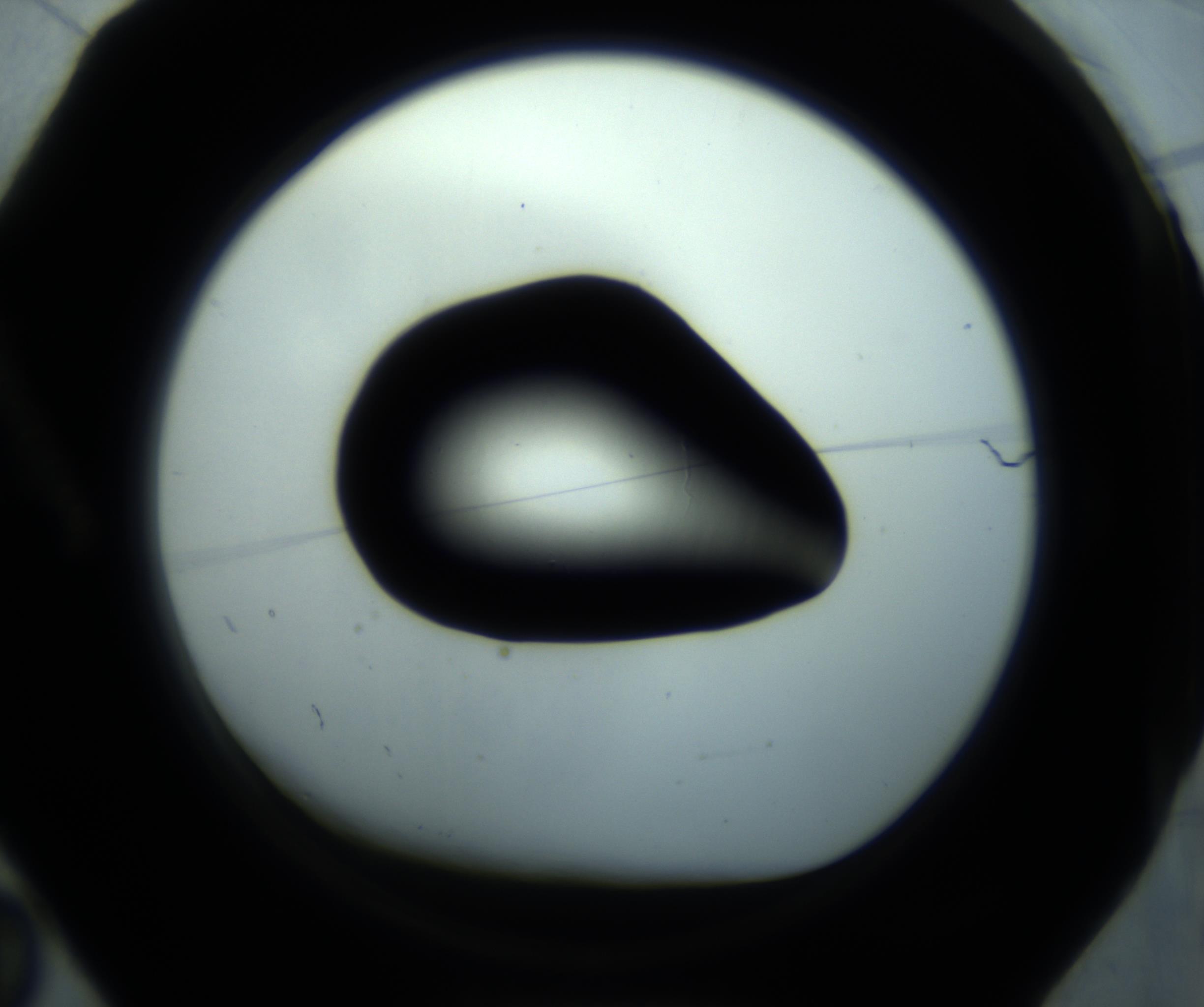 RI01_03_000_0212_Proj1_Clon1_MC_0000MC102869_001_161021_02_01_01_00_98_002_001_RAI.jpg