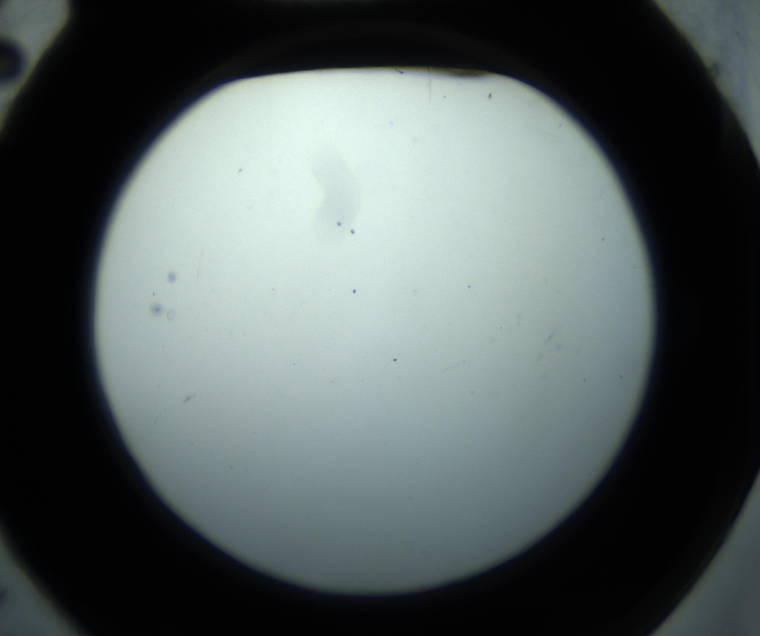 RI01_03_000_0212_Proj1_Clon1_MC_0000MC102869_001_161021_02_01_02_00_98_002_001_RAI.jpg