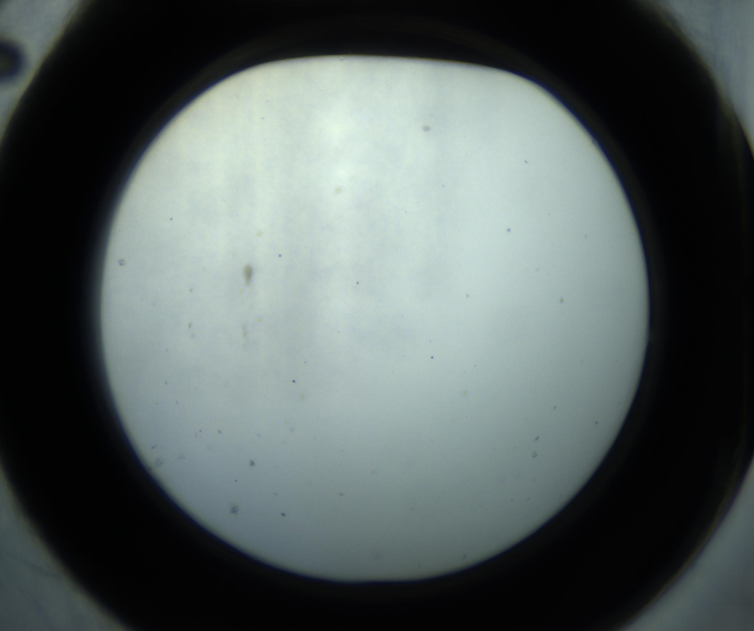 RI01_03_000_0212_Proj1_Clon1_MC_0000MC102869_001_161021_02_02_02_00_98_002_001_RAI.jpg