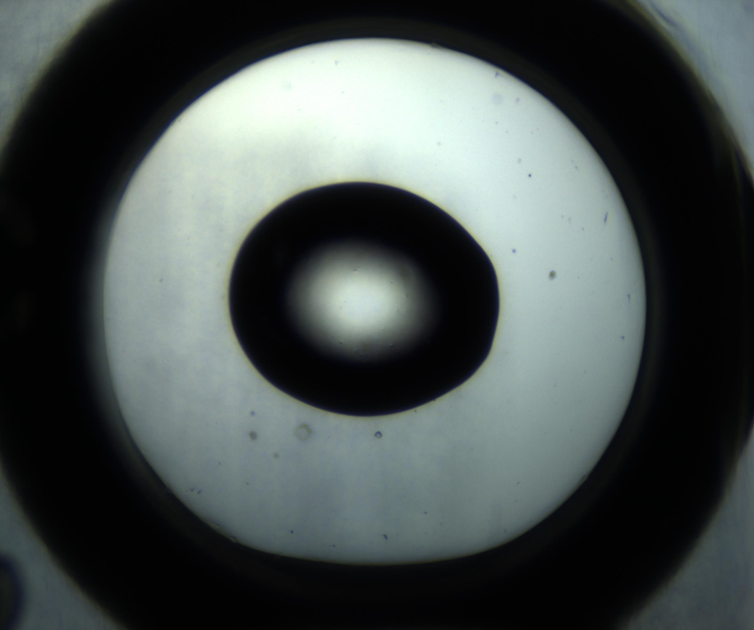 RI01_03_000_0212_Proj1_Clon1_MC_0000MC102869_001_161021_02_03_01_00_98_002_001_RAI.jpg