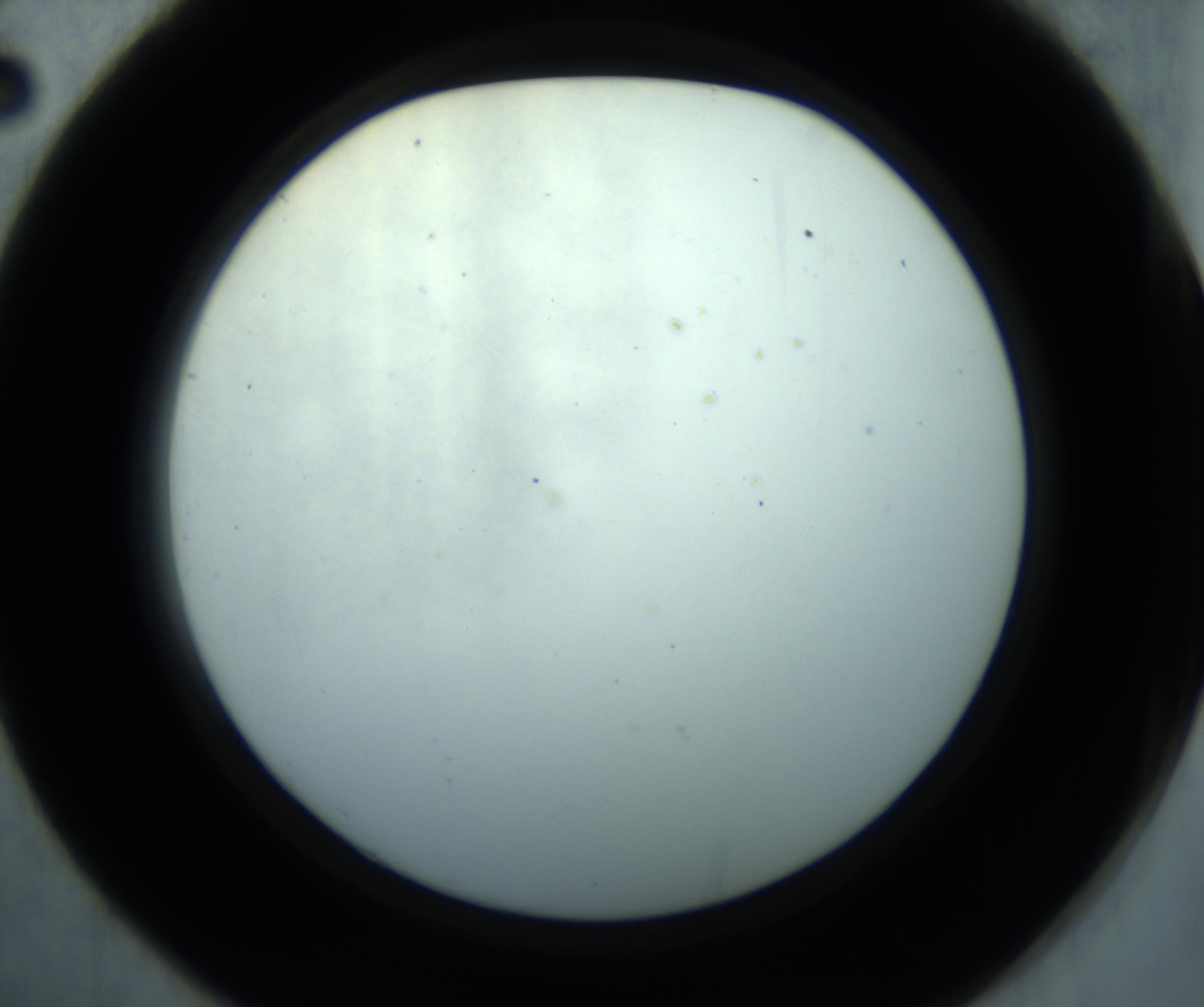 RI01_03_000_0212_Proj1_Clon1_MC_0000MC102869_001_161021_02_03_02_00_98_002_001_RAI.jpg