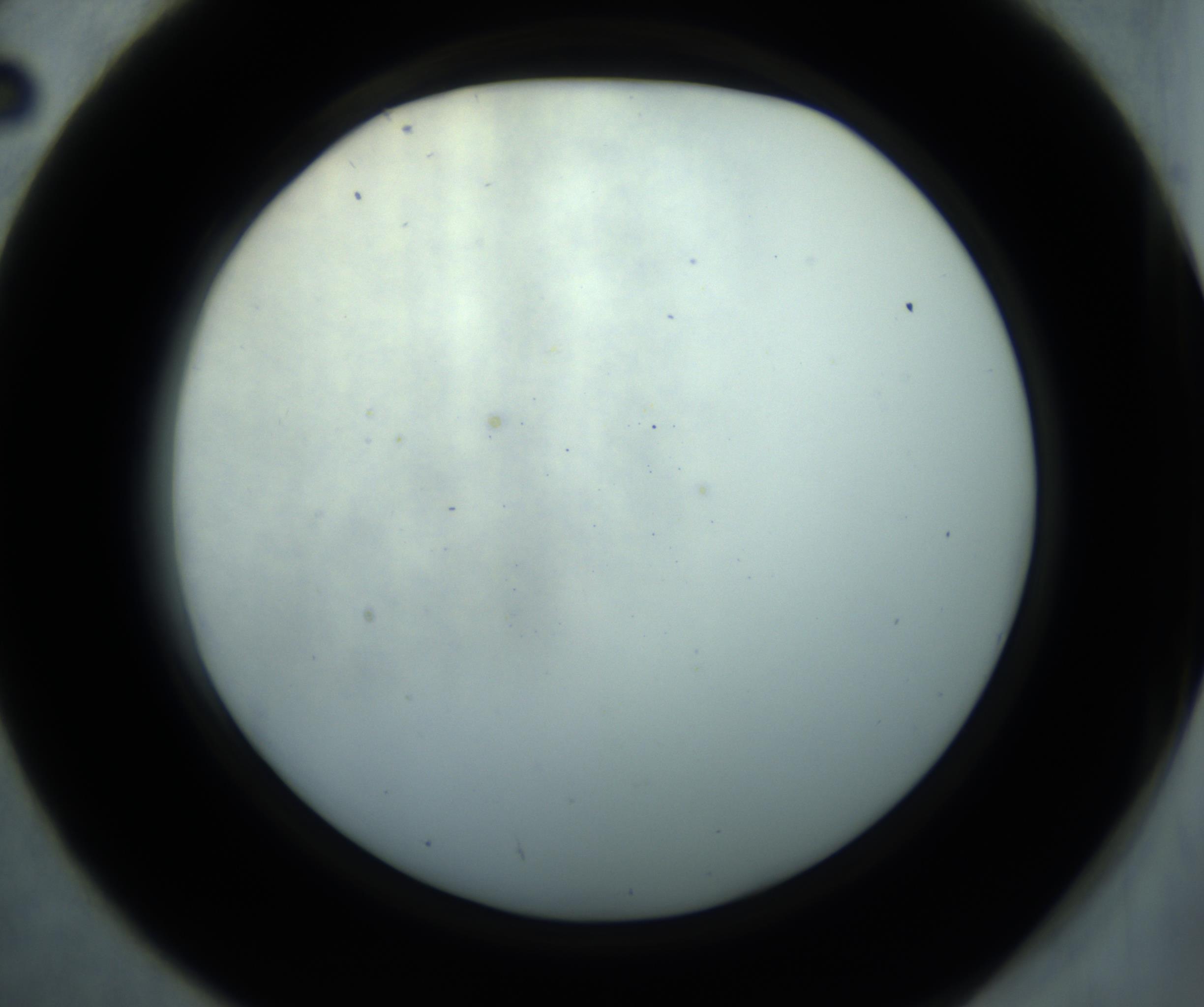 RI01_03_000_0212_Proj1_Clon1_MC_0000MC102869_001_161021_02_04_02_00_98_002_001_RAI.jpg