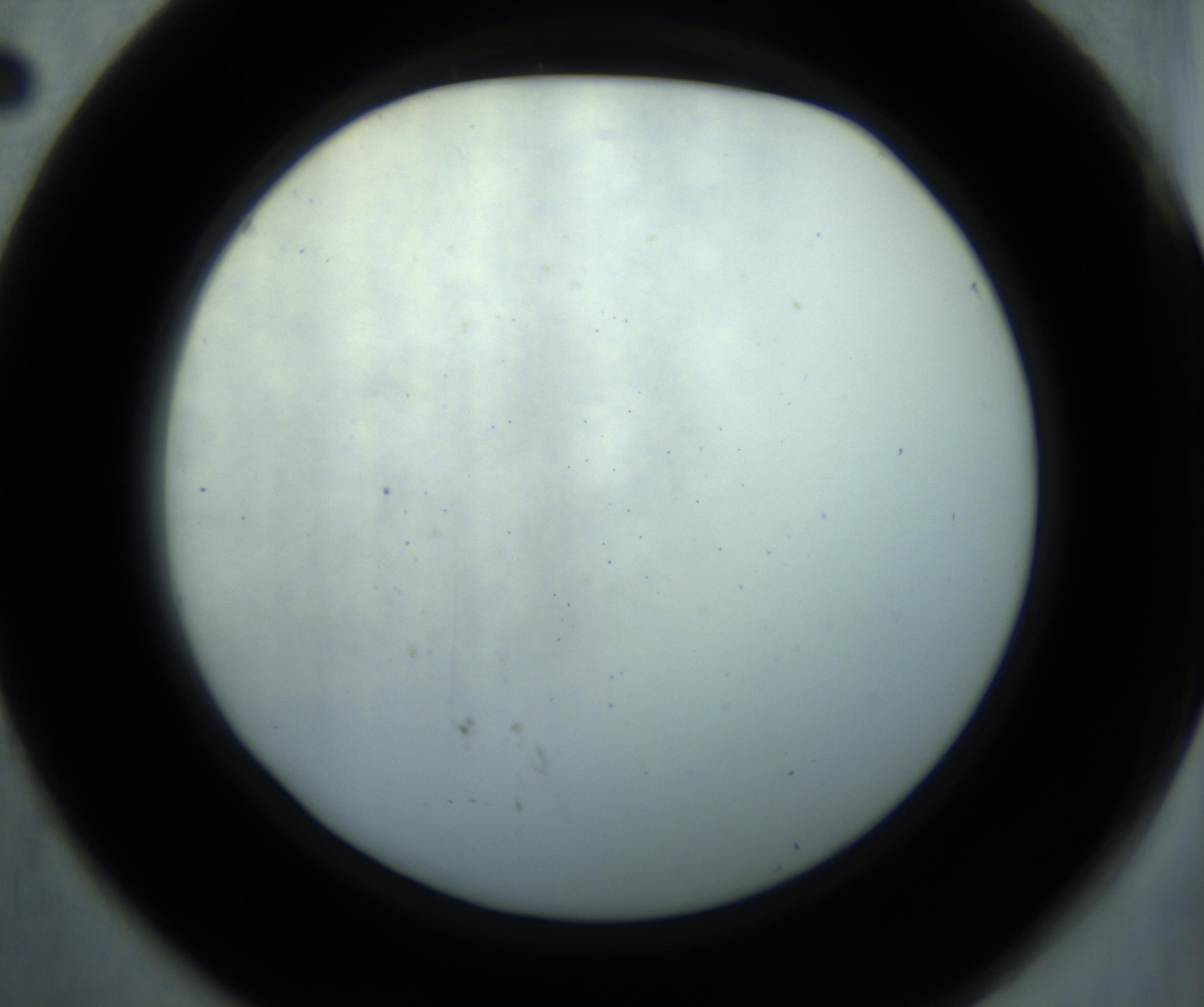 RI01_03_000_0212_Proj1_Clon1_MC_0000MC102869_001_161021_02_05_02_00_98_002_001_RAI.jpg