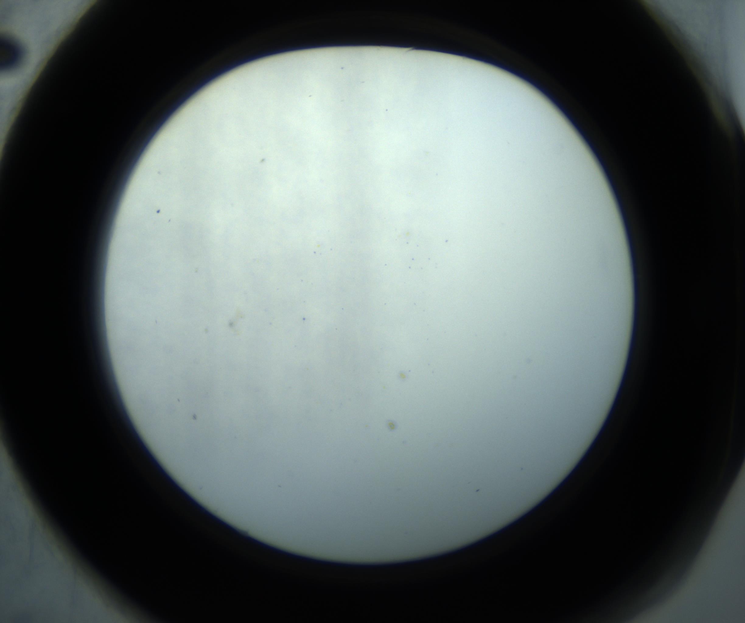RI01_03_000_0212_Proj1_Clon1_MC_0000MC102869_001_161021_02_06_02_00_98_002_001_RAI.jpg