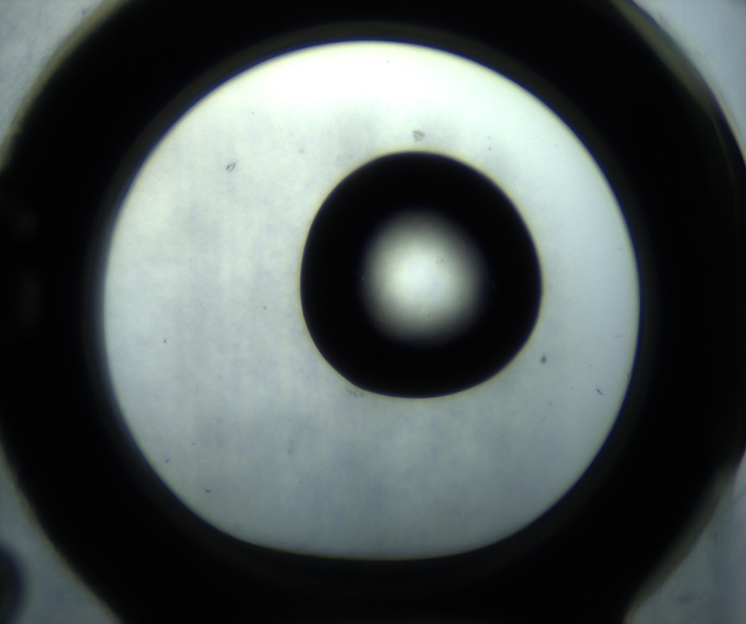 RI01_03_000_0212_Proj1_Clon1_MC_0000MC102869_001_161021_02_07_01_00_98_002_001_RAI.jpg