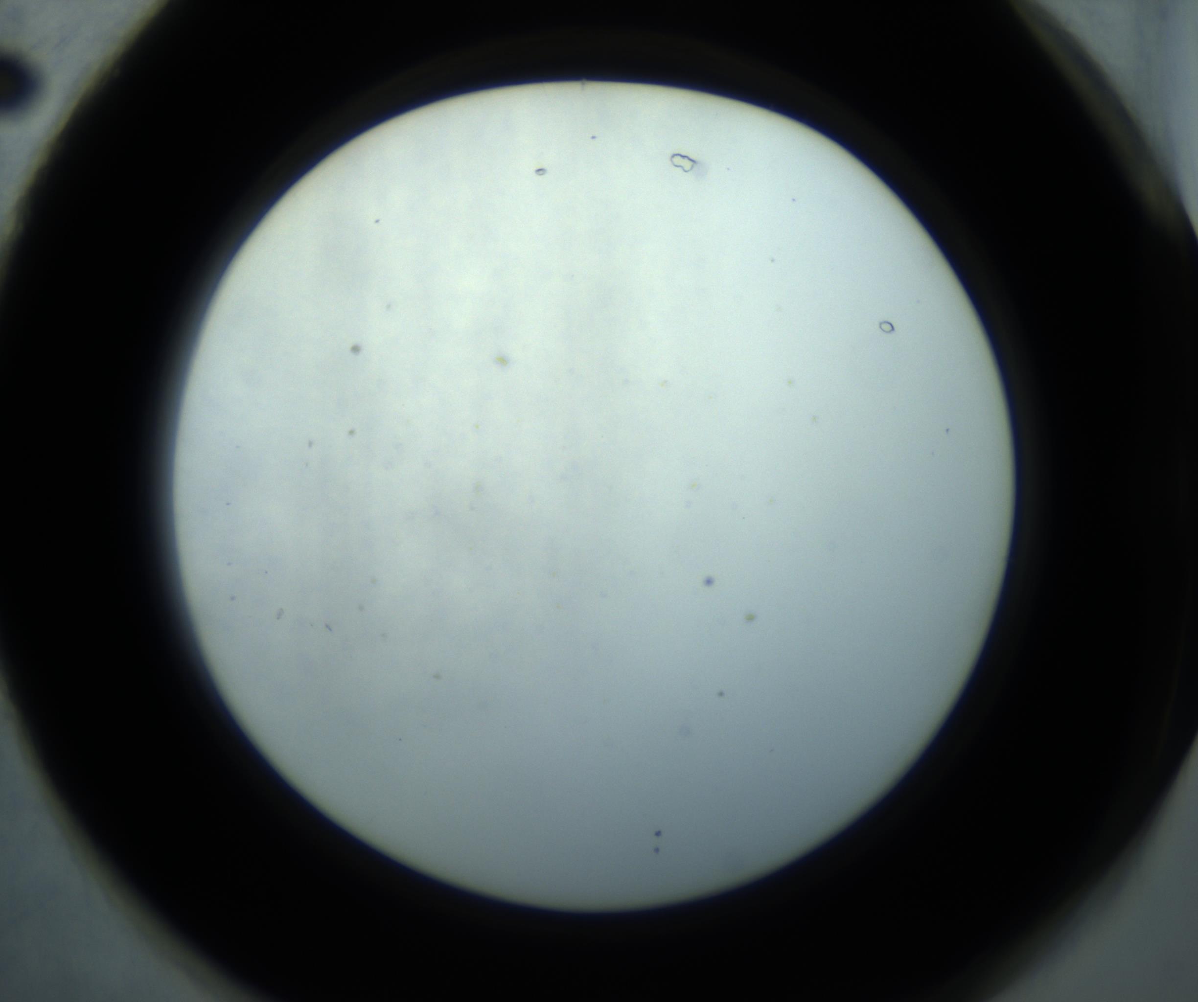 RI01_03_000_0212_Proj1_Clon1_MC_0000MC102869_001_161021_02_07_02_00_98_002_001_RAI.jpg
