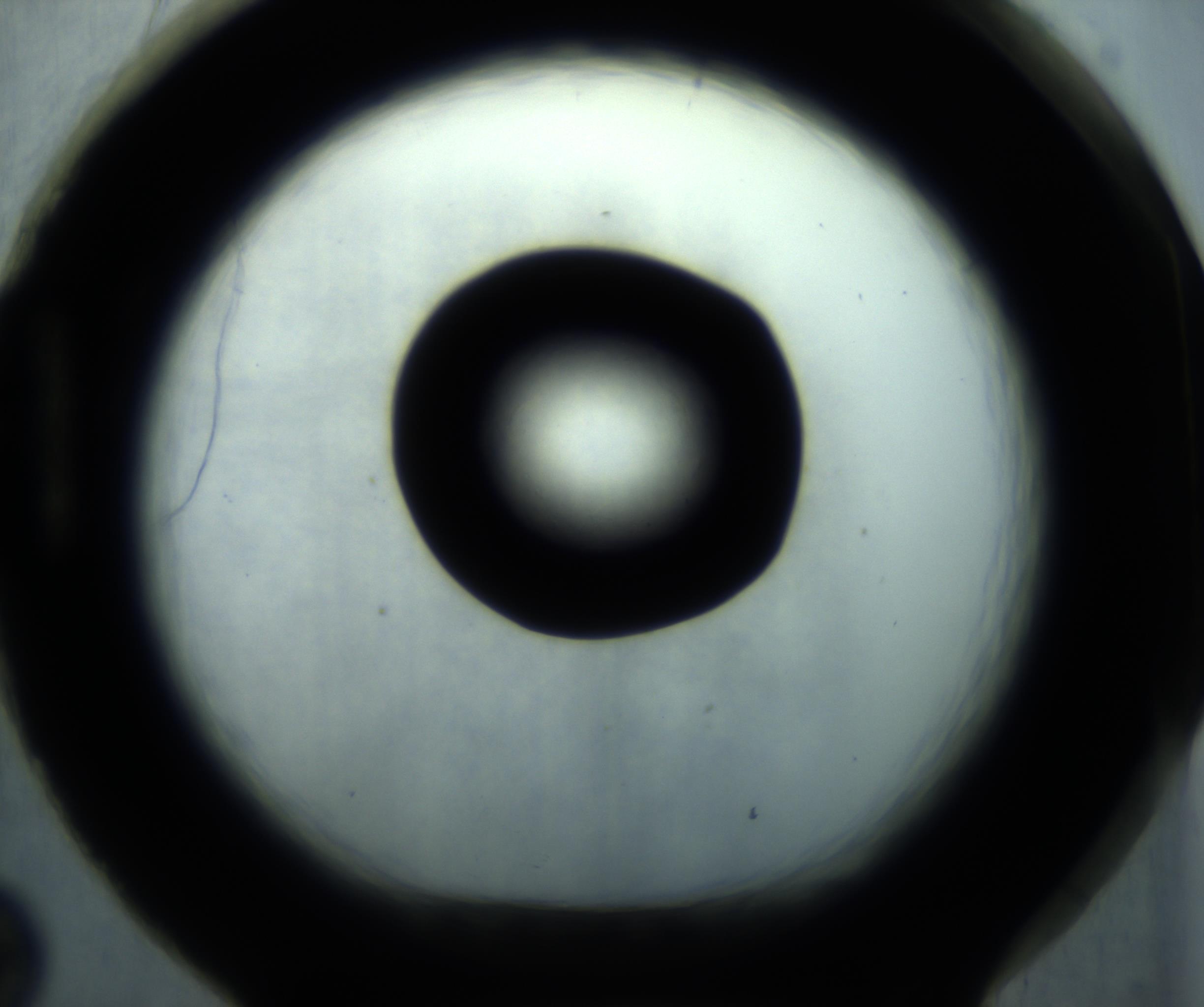 RI01_03_000_0212_Proj1_Clon1_MC_0000MC102869_001_161021_02_08_01_00_98_002_001_RAI.jpg