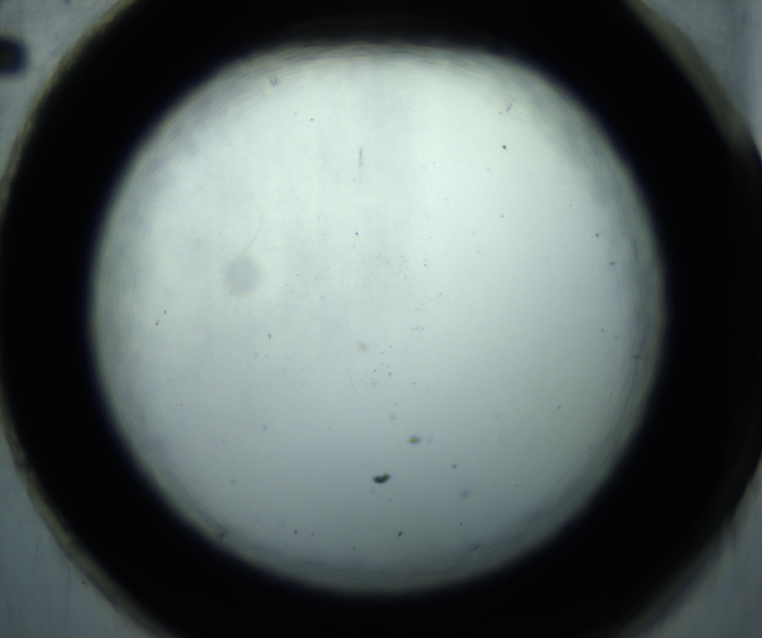 RI01_03_000_0212_Proj1_Clon1_MC_0000MC102869_001_161021_02_08_02_00_98_002_001_RAI.jpg