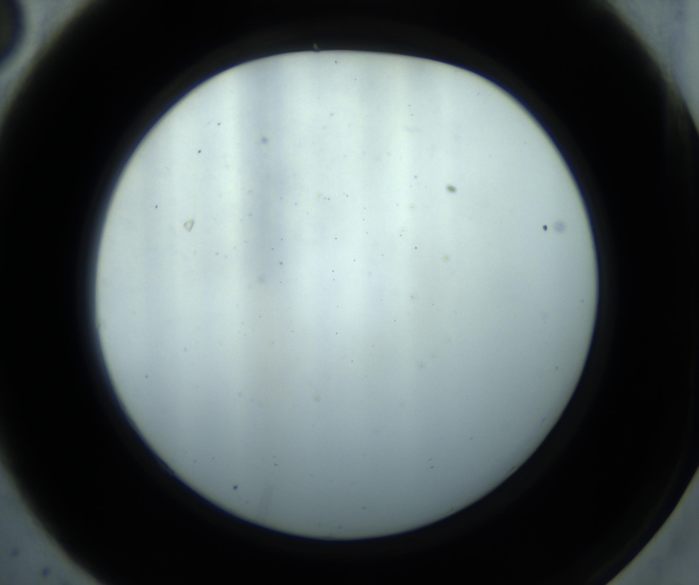 RI01_03_000_0212_Proj1_Clon1_MC_0000MC102869_001_161021_03_01_02_00_98_002_001_RAI.jpg