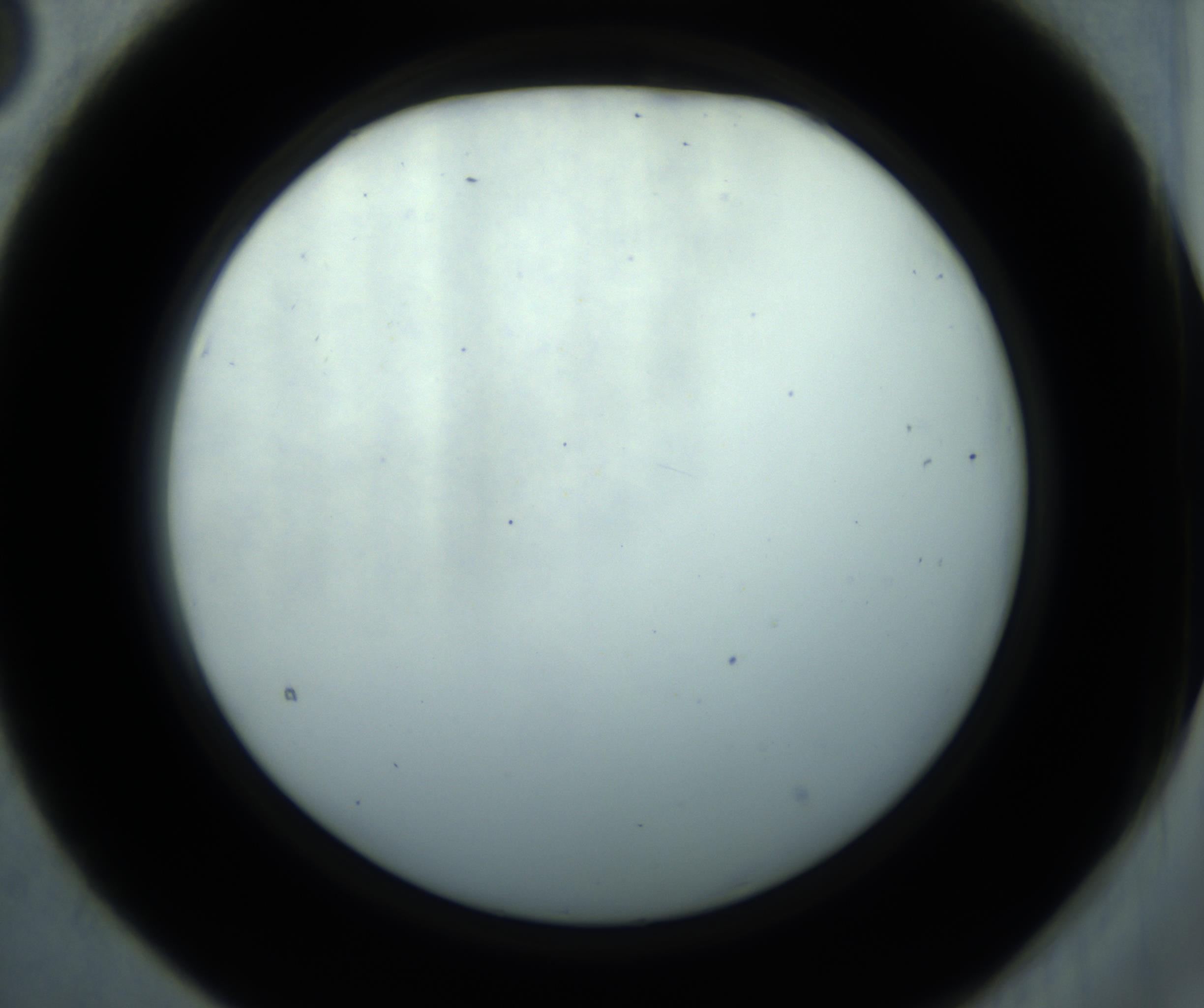 RI01_03_000_0212_Proj1_Clon1_MC_0000MC102869_001_161021_03_02_02_00_98_002_001_RAI.jpg
