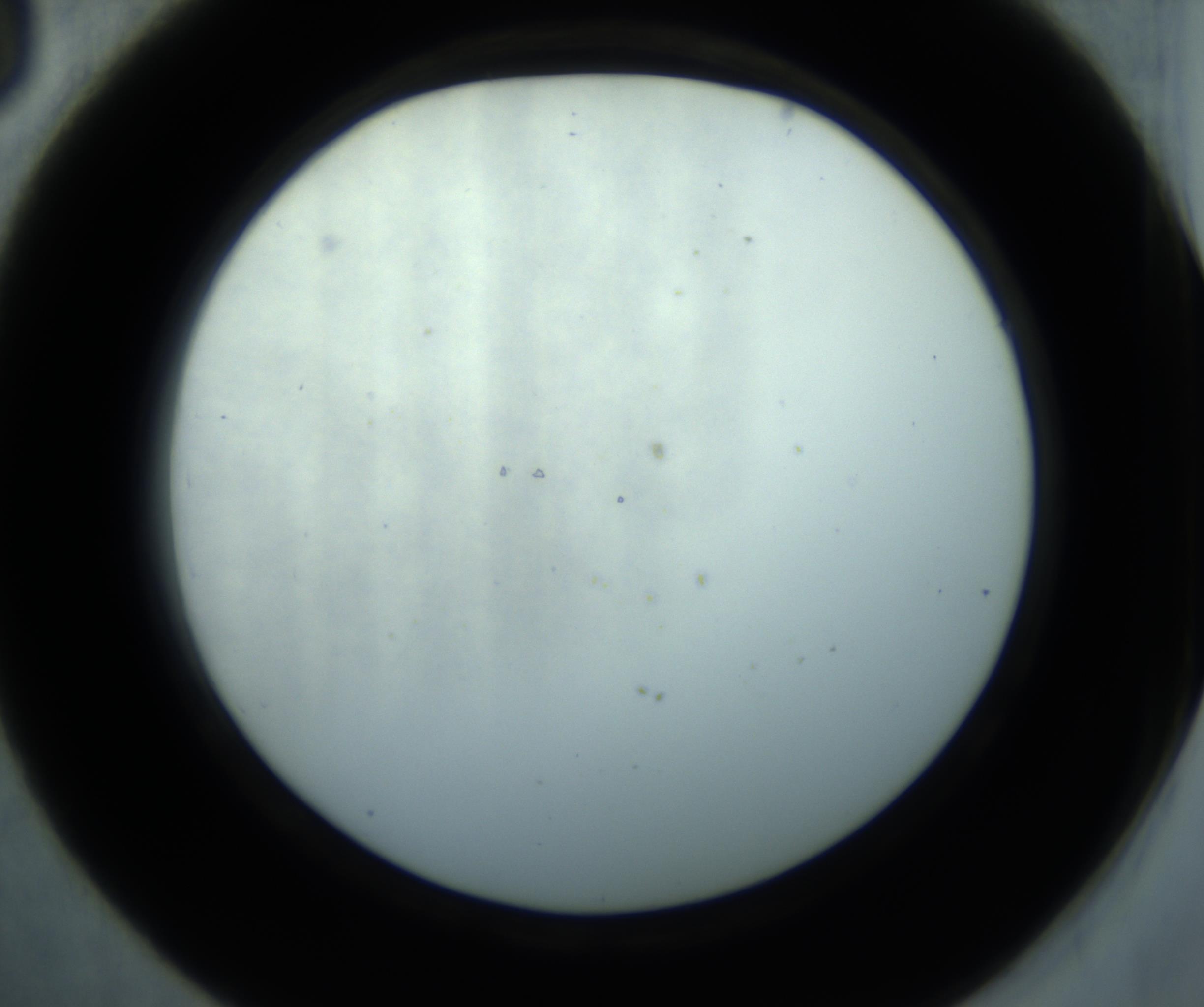 RI01_03_000_0212_Proj1_Clon1_MC_0000MC102869_001_161021_03_04_02_00_98_002_001_RAI.jpg