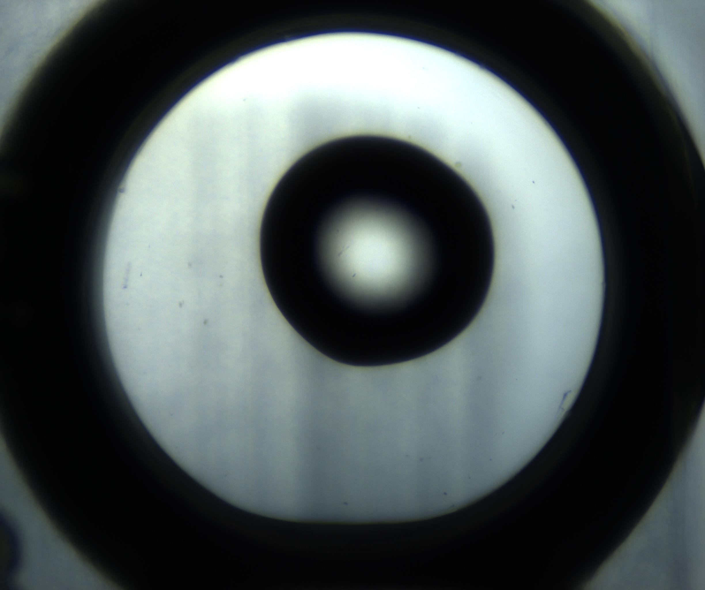 RI01_03_000_0212_Proj1_Clon1_MC_0000MC102869_001_161021_03_05_01_00_98_002_001_RAI.jpg