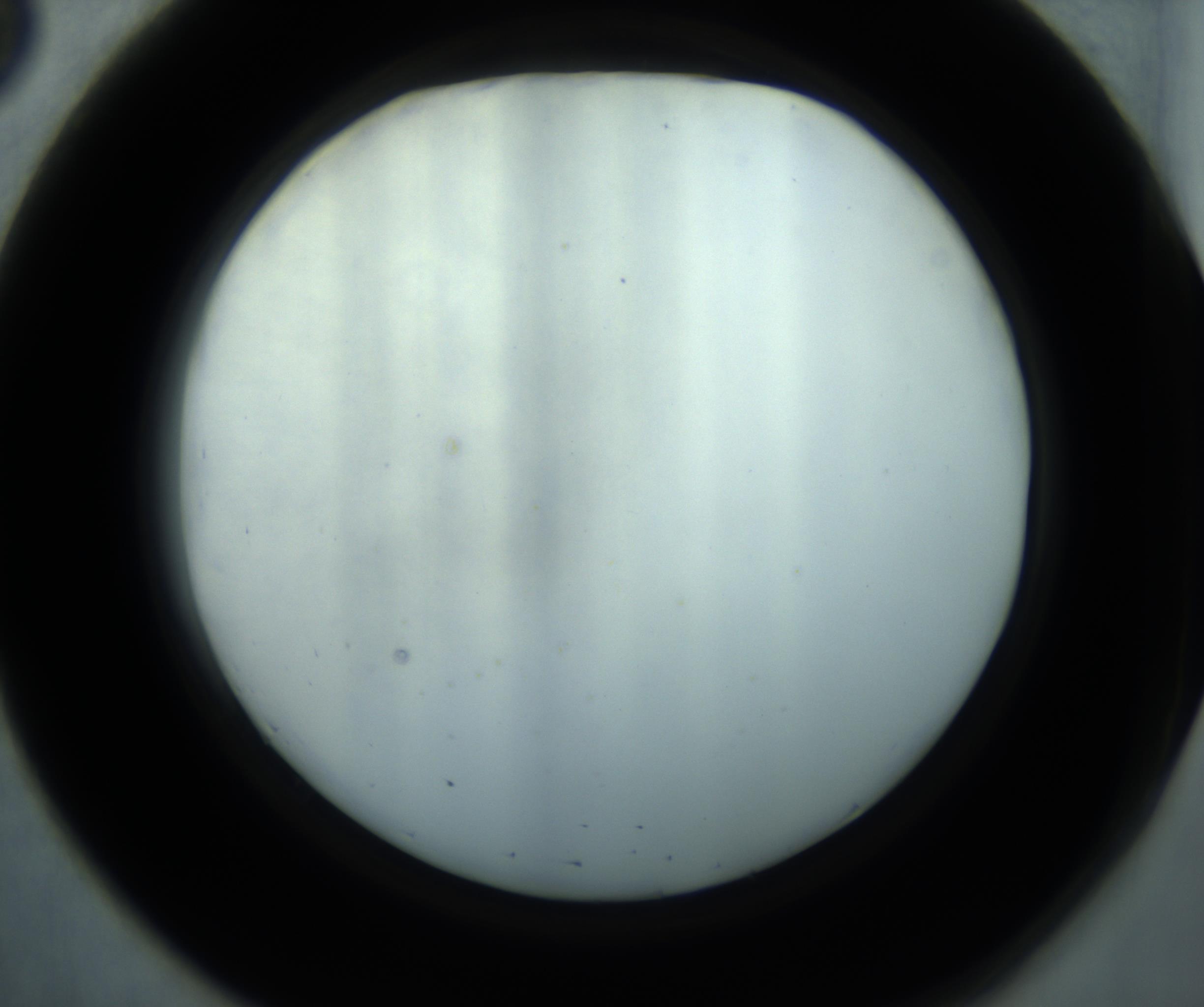 RI01_03_000_0212_Proj1_Clon1_MC_0000MC102869_001_161021_03_05_02_00_98_002_001_RAI.jpg