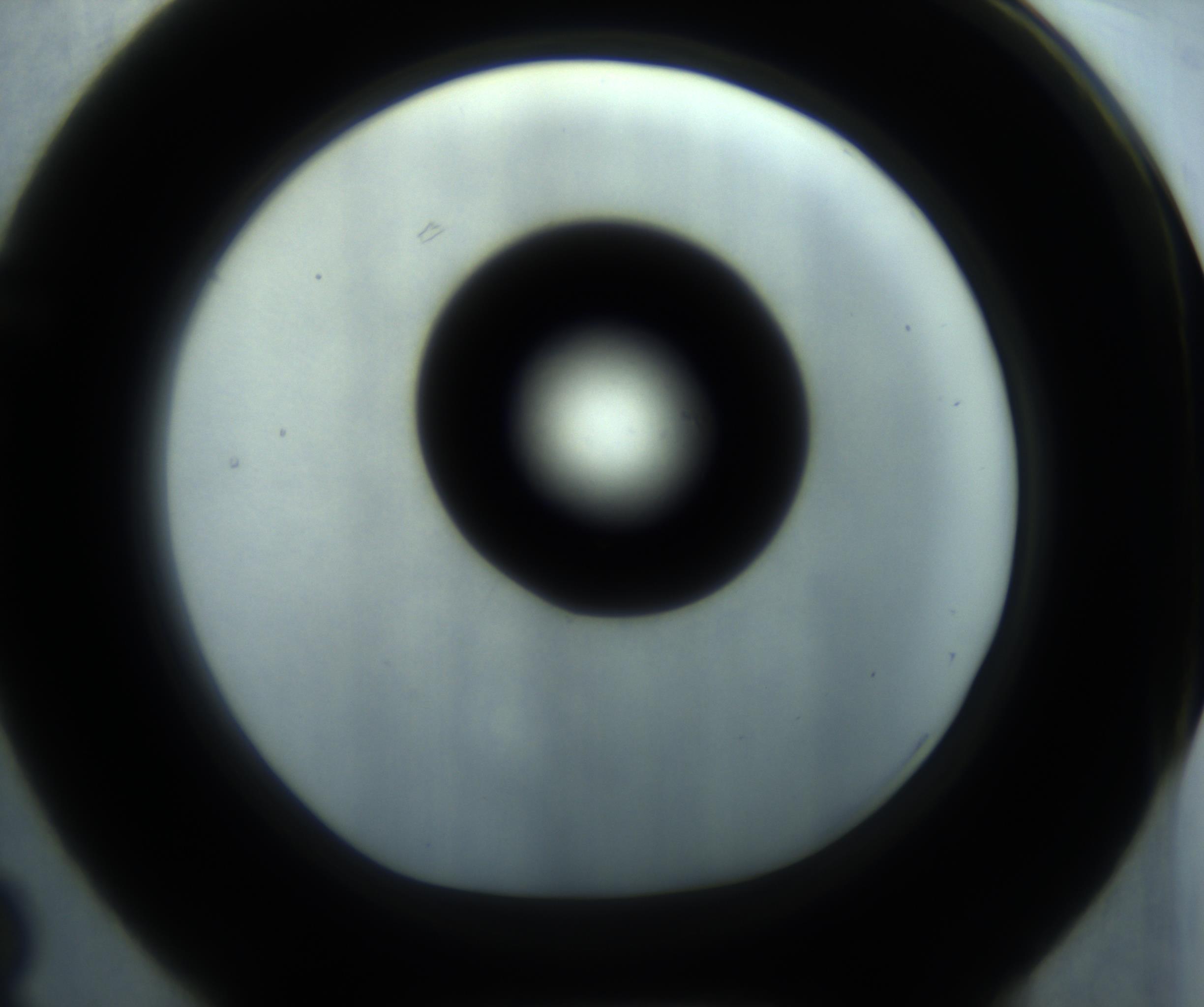 RI01_03_000_0212_Proj1_Clon1_MC_0000MC102869_001_161021_03_06_01_00_98_002_001_RAI.jpg