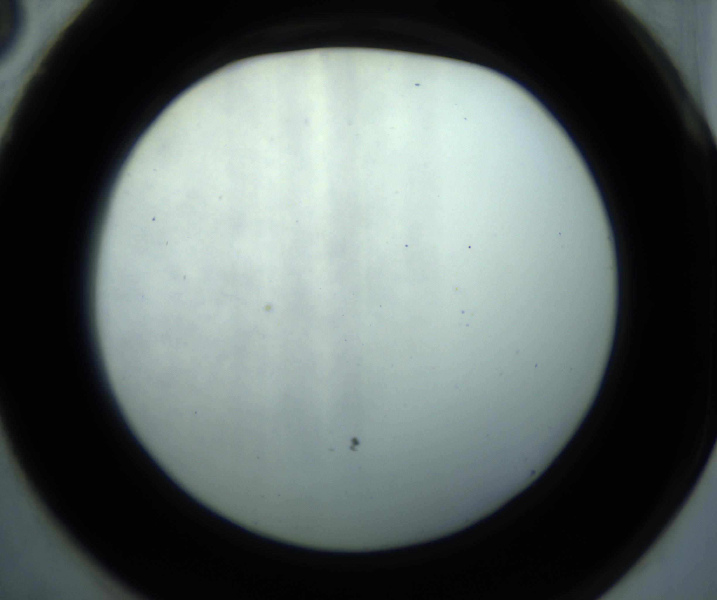 RI01_03_000_0212_Proj1_Clon1_MC_0000MC102869_001_161021_03_07_02_00_98_002_001_RAI.jpg