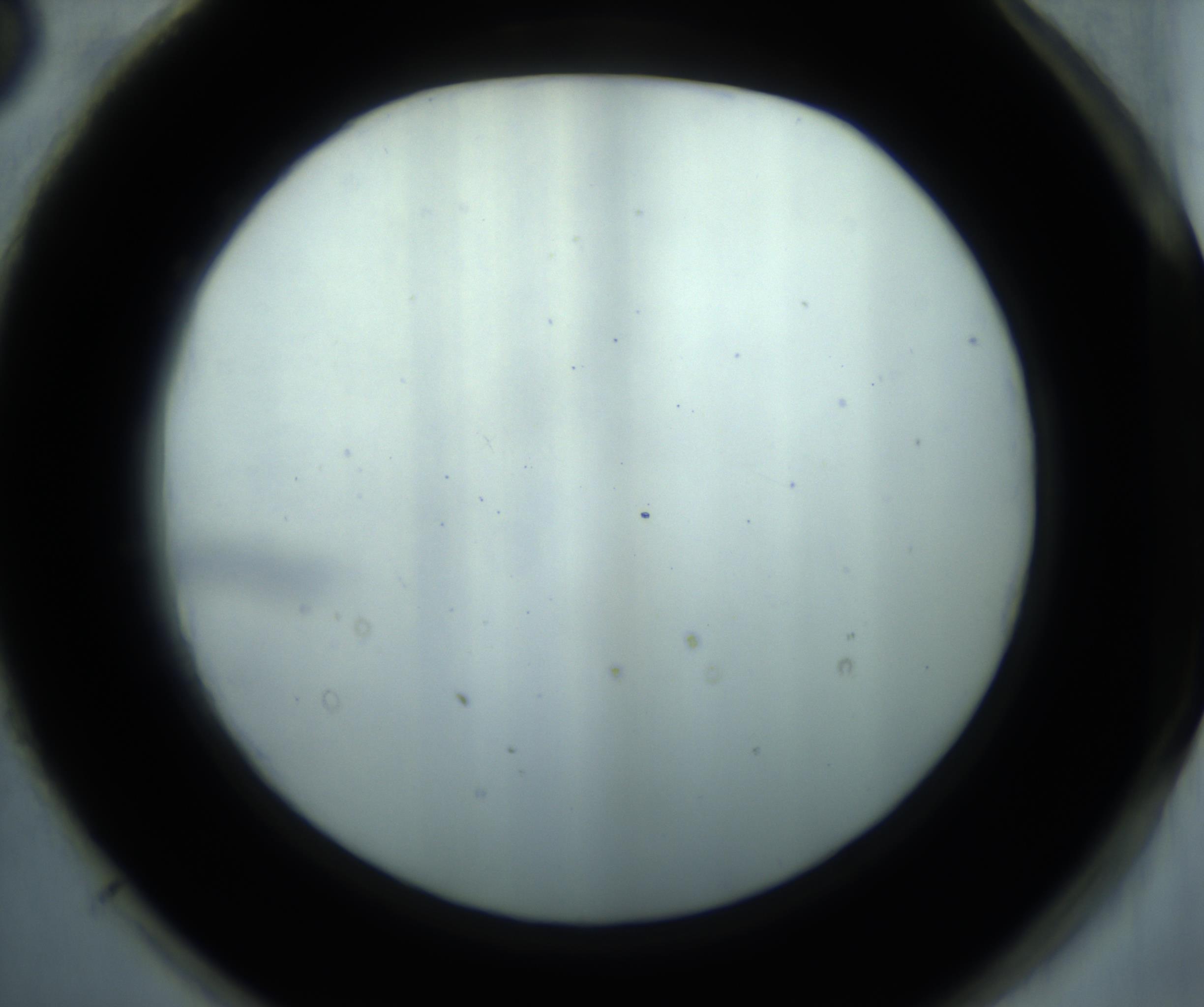 RI01_03_000_0212_Proj1_Clon1_MC_0000MC102869_001_161021_03_08_02_00_98_002_001_RAI.jpg
