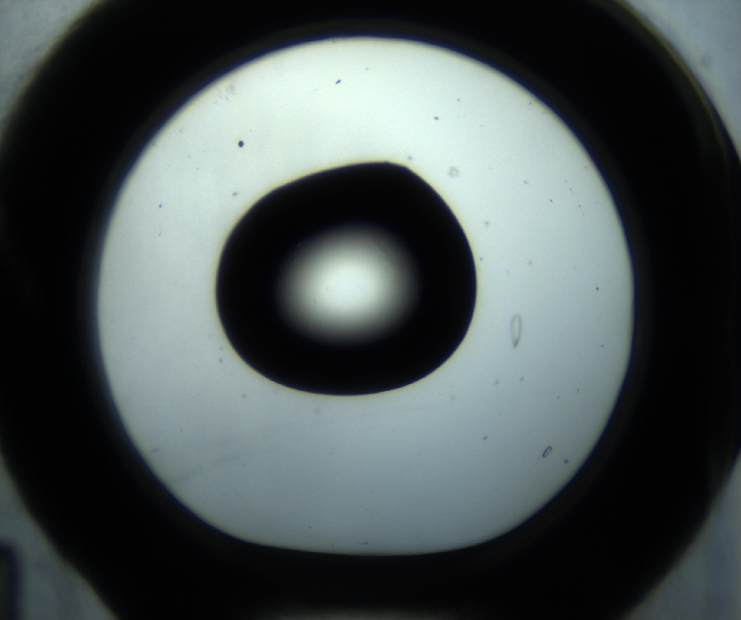 RI01_03_000_0212_Proj1_Clon1_MC_0000MC102869_001_161021_04_01_01_00_98_002_001_RAI.jpg