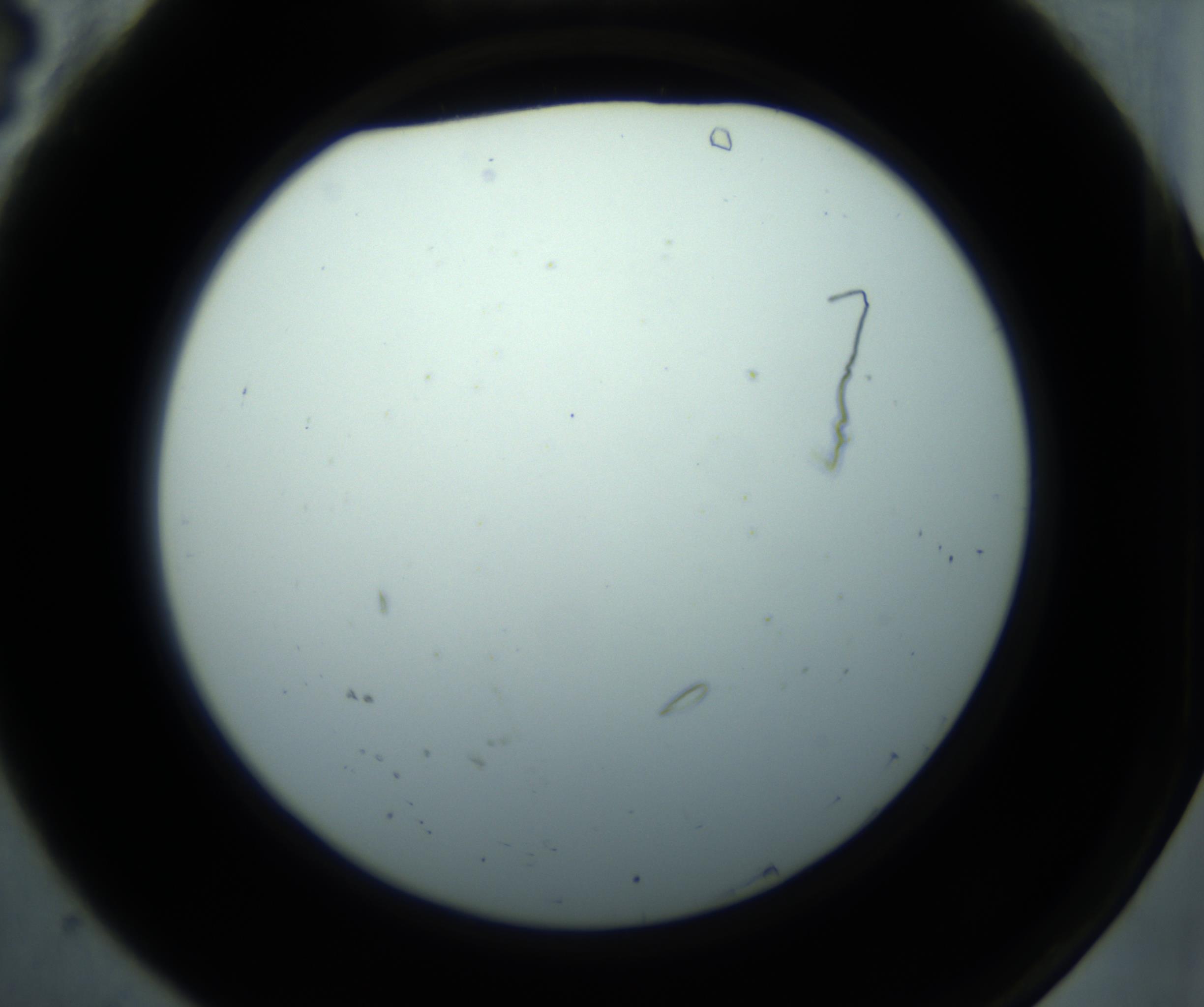 RI01_03_000_0212_Proj1_Clon1_MC_0000MC102869_001_161021_04_01_02_00_98_002_001_RAI.jpg