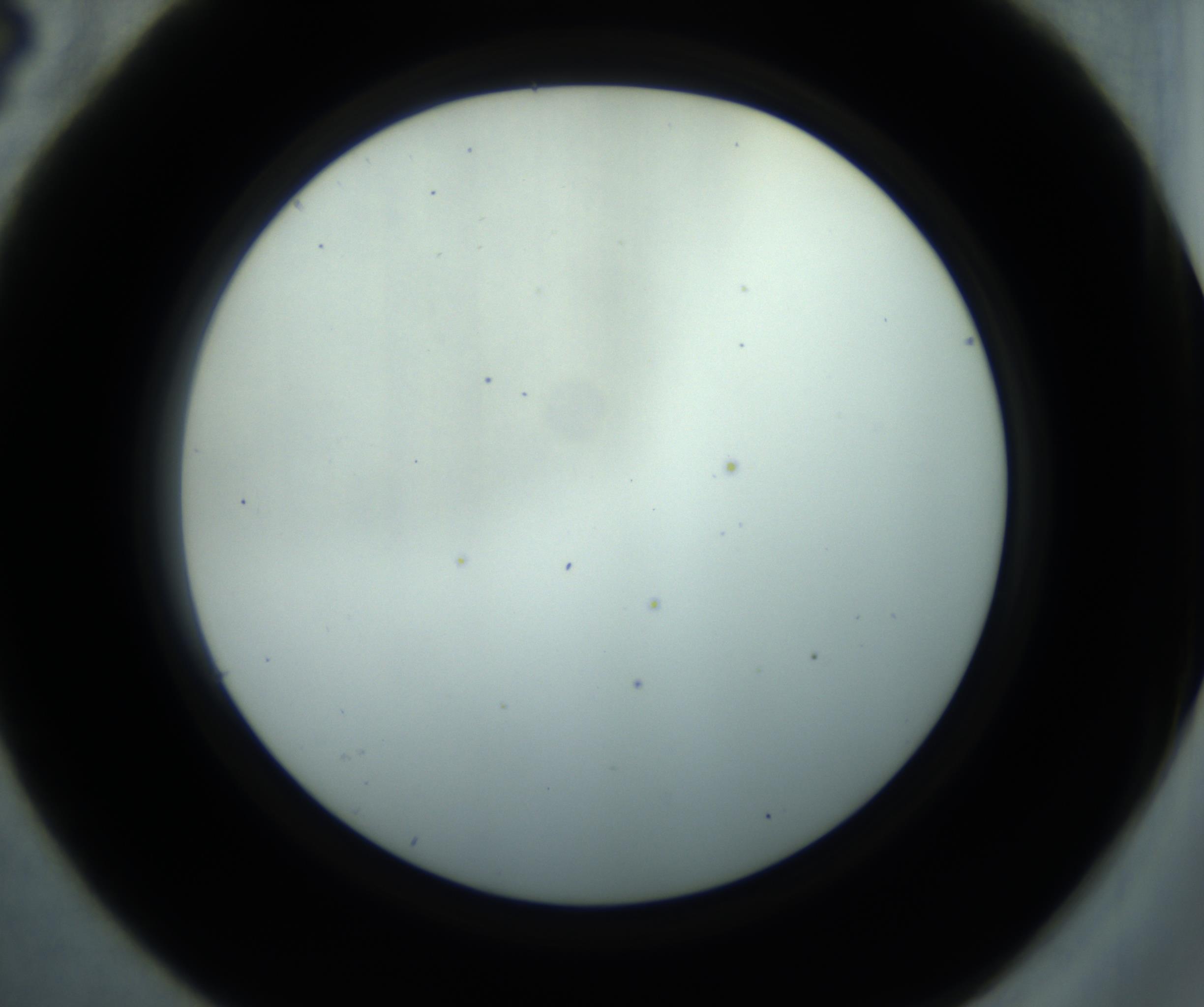 RI01_03_000_0212_Proj1_Clon1_MC_0000MC102869_001_161021_04_02_02_00_98_002_001_RAI.jpg