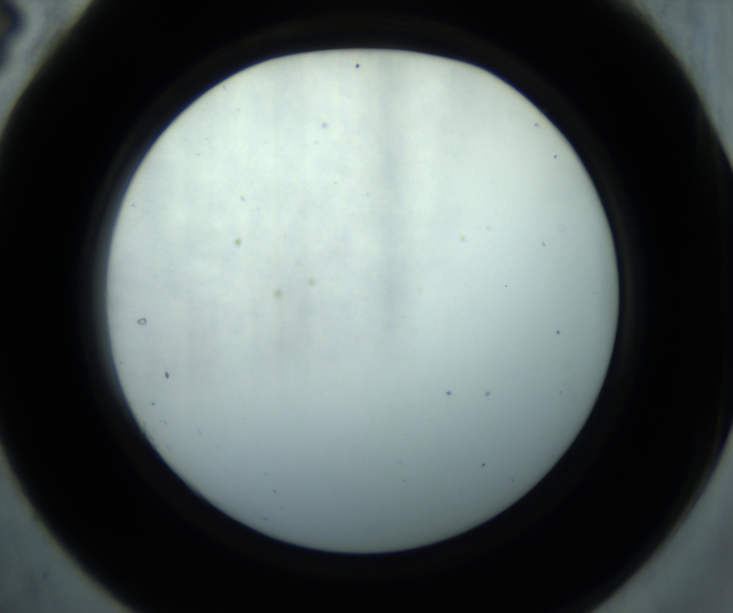 RI01_03_000_0212_Proj1_Clon1_MC_0000MC102869_001_161021_04_03_02_00_98_002_001_RAI.jpg