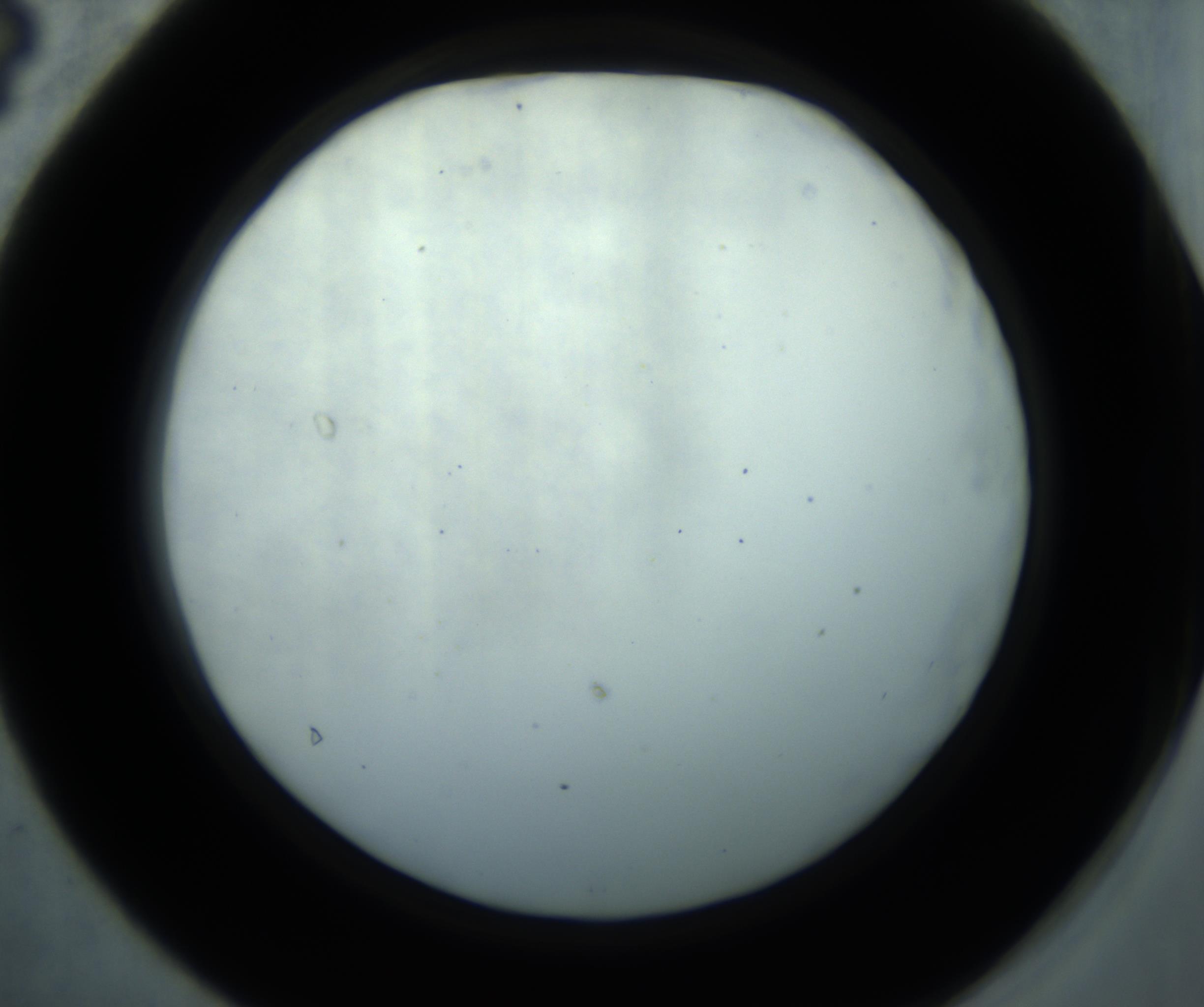 RI01_03_000_0212_Proj1_Clon1_MC_0000MC102869_001_161021_04_04_02_00_98_002_001_RAI.jpg