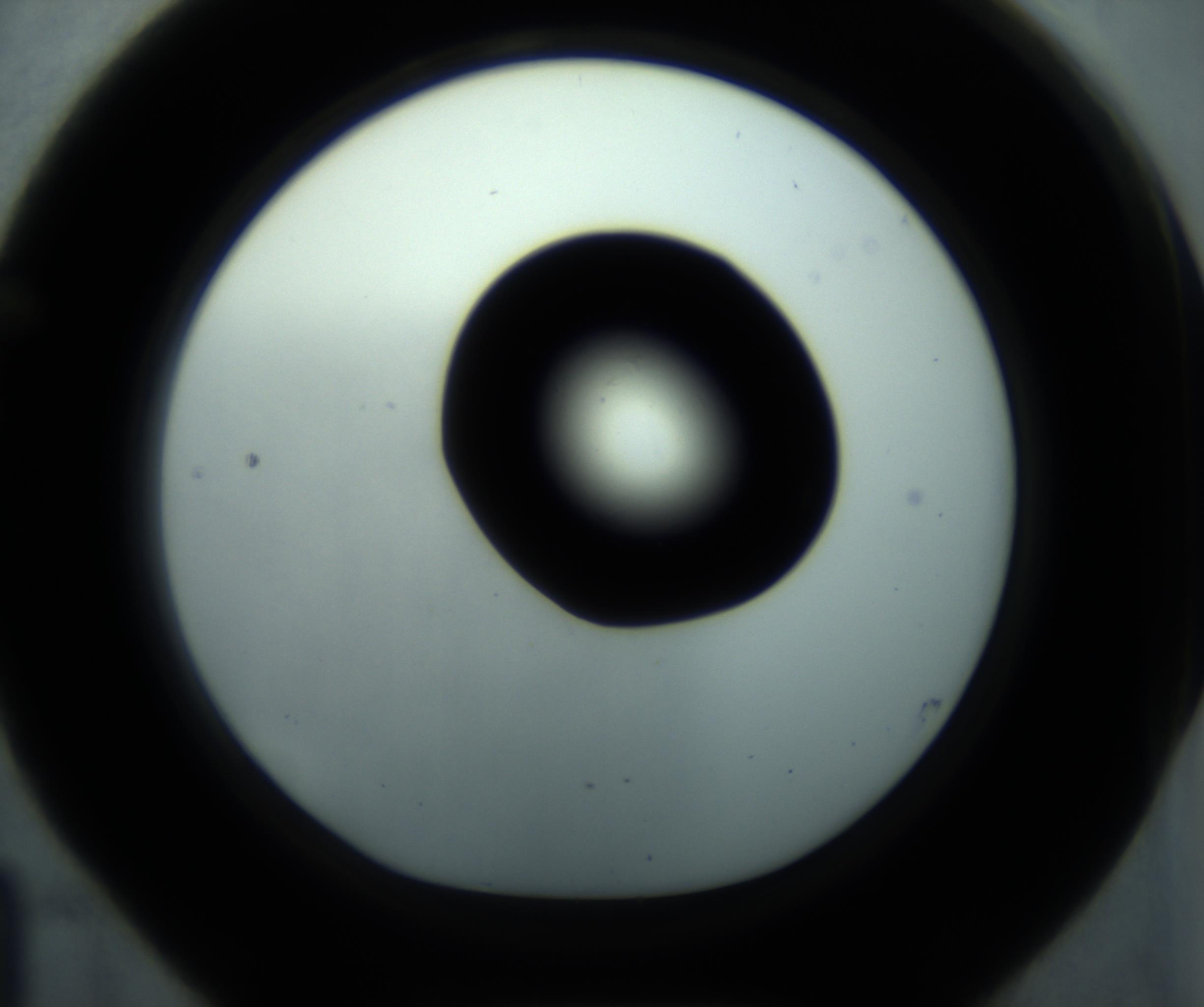 RI01_03_000_0212_Proj1_Clon1_MC_0000MC102869_001_161021_04_05_01_00_98_002_001_RAI.jpg