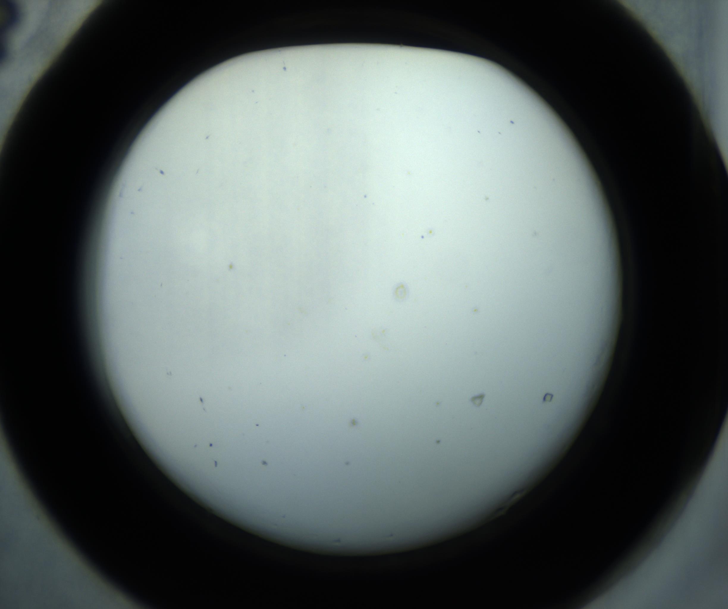 RI01_03_000_0212_Proj1_Clon1_MC_0000MC102869_001_161021_04_05_02_00_98_002_001_RAI.jpg
