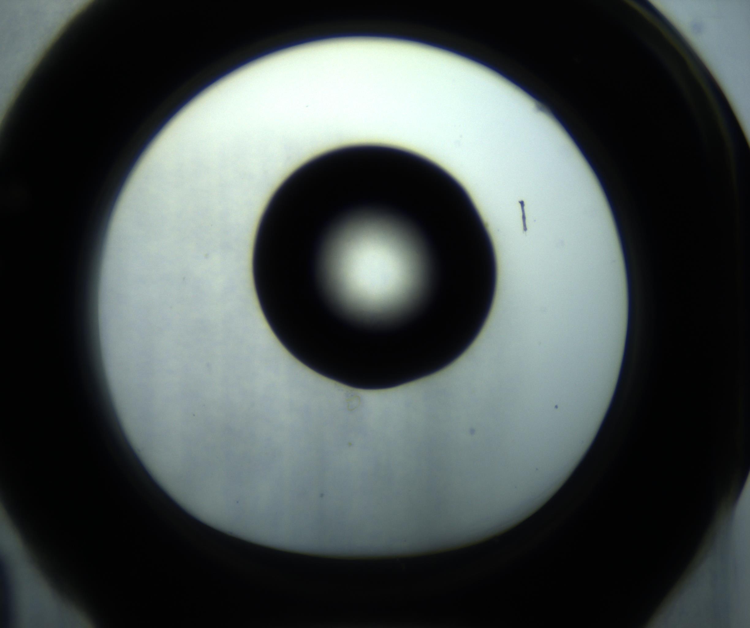 RI01_03_000_0212_Proj1_Clon1_MC_0000MC102869_001_161021_04_06_01_00_98_002_001_RAI.jpg