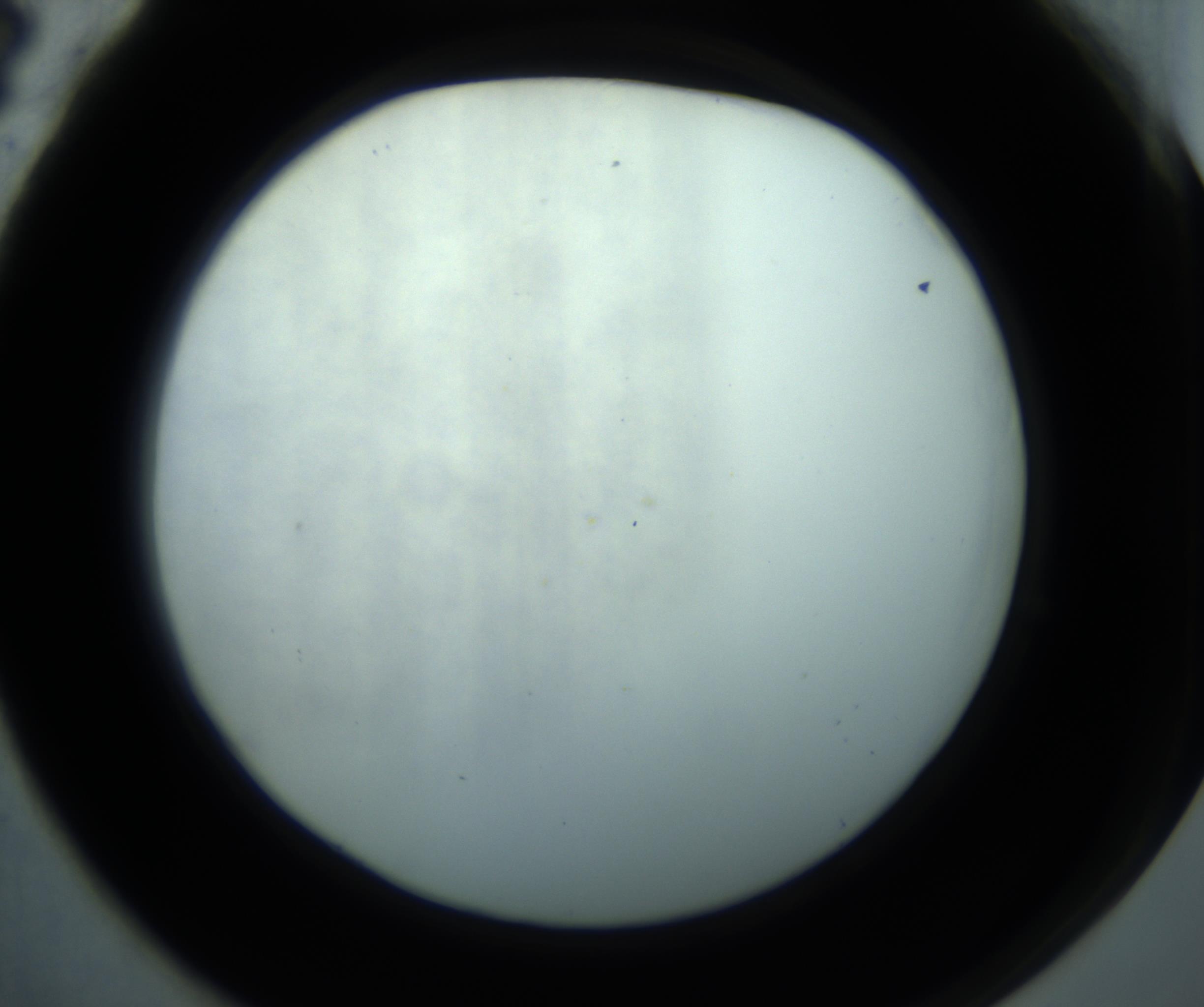 RI01_03_000_0212_Proj1_Clon1_MC_0000MC102869_001_161021_04_06_02_00_98_002_001_RAI.jpg