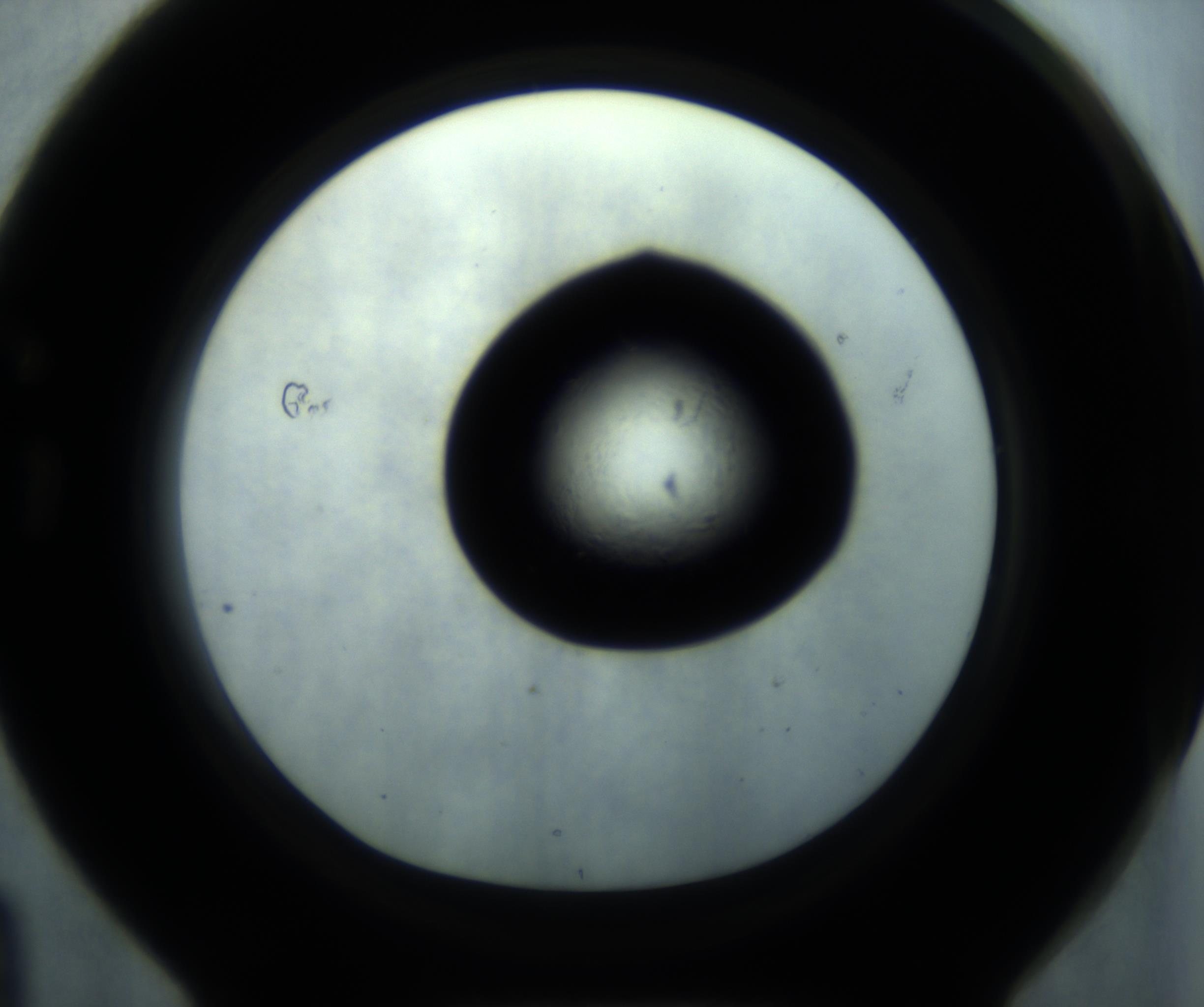 RI01_03_000_0212_Proj1_Clon1_MC_0000MC102869_001_161021_04_07_01_00_98_002_001_RAI.jpg