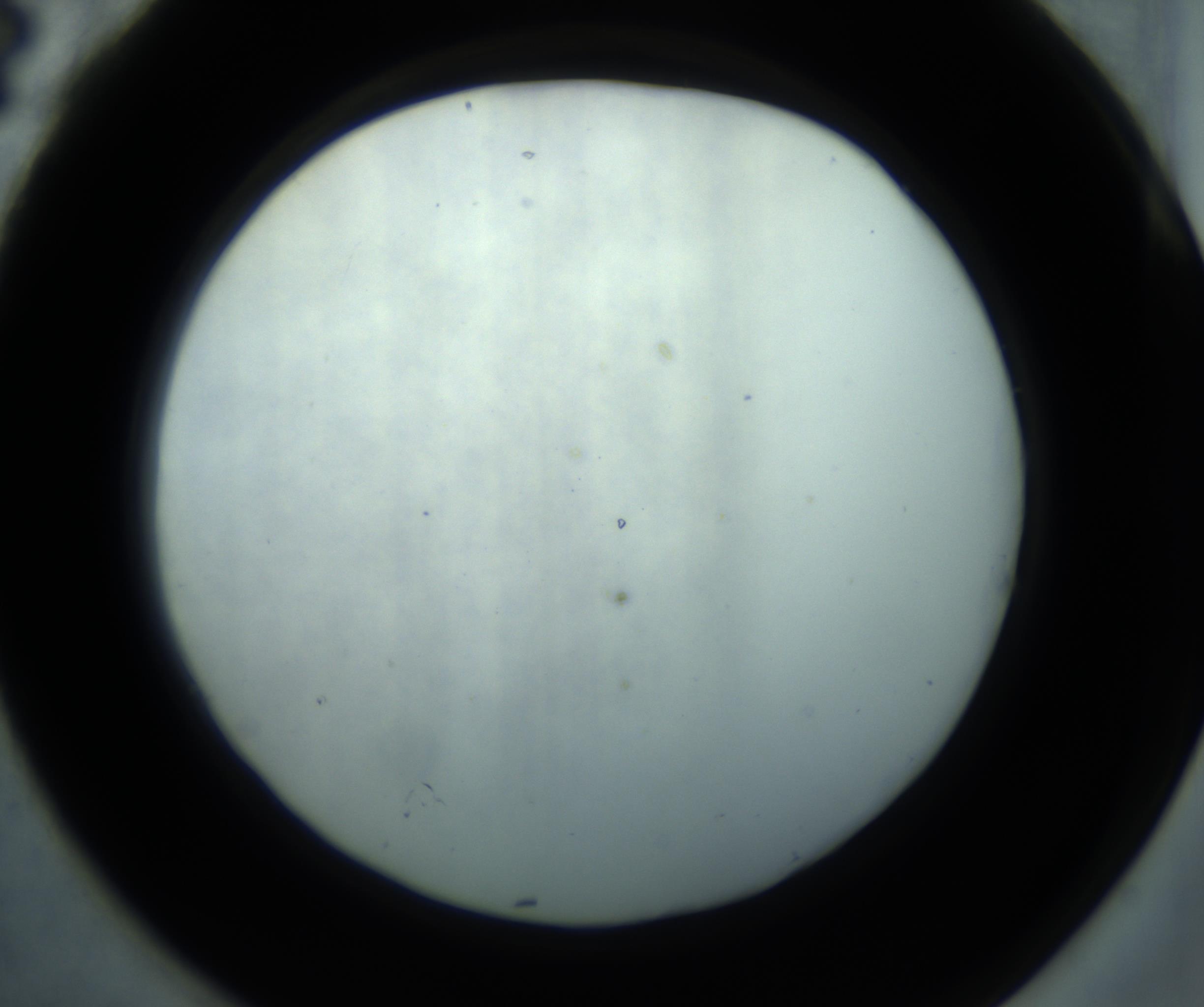 RI01_03_000_0212_Proj1_Clon1_MC_0000MC102869_001_161021_04_07_02_00_98_002_001_RAI.jpg