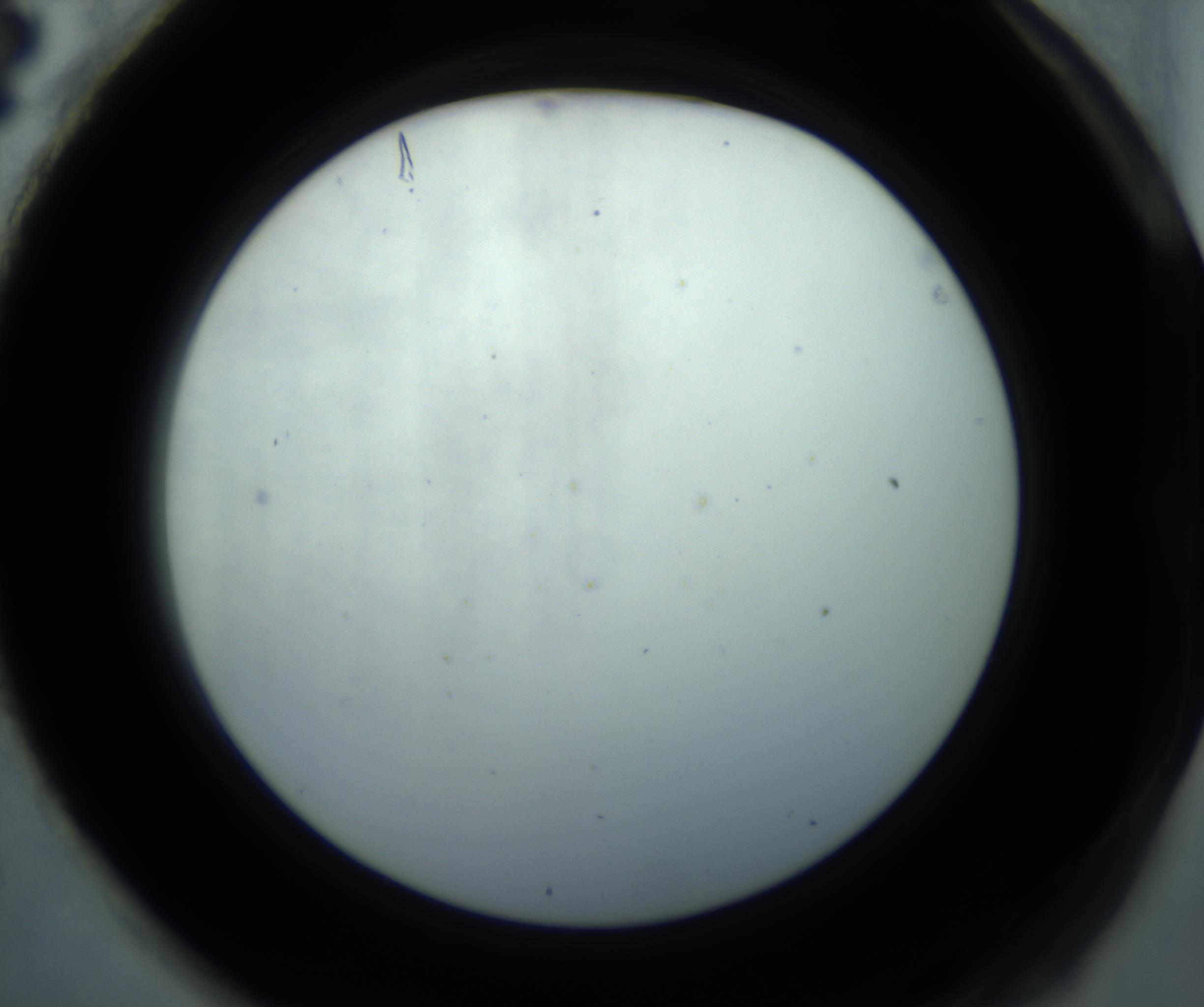 RI01_03_000_0212_Proj1_Clon1_MC_0000MC102869_001_161021_04_08_02_00_98_002_001_RAI.jpg