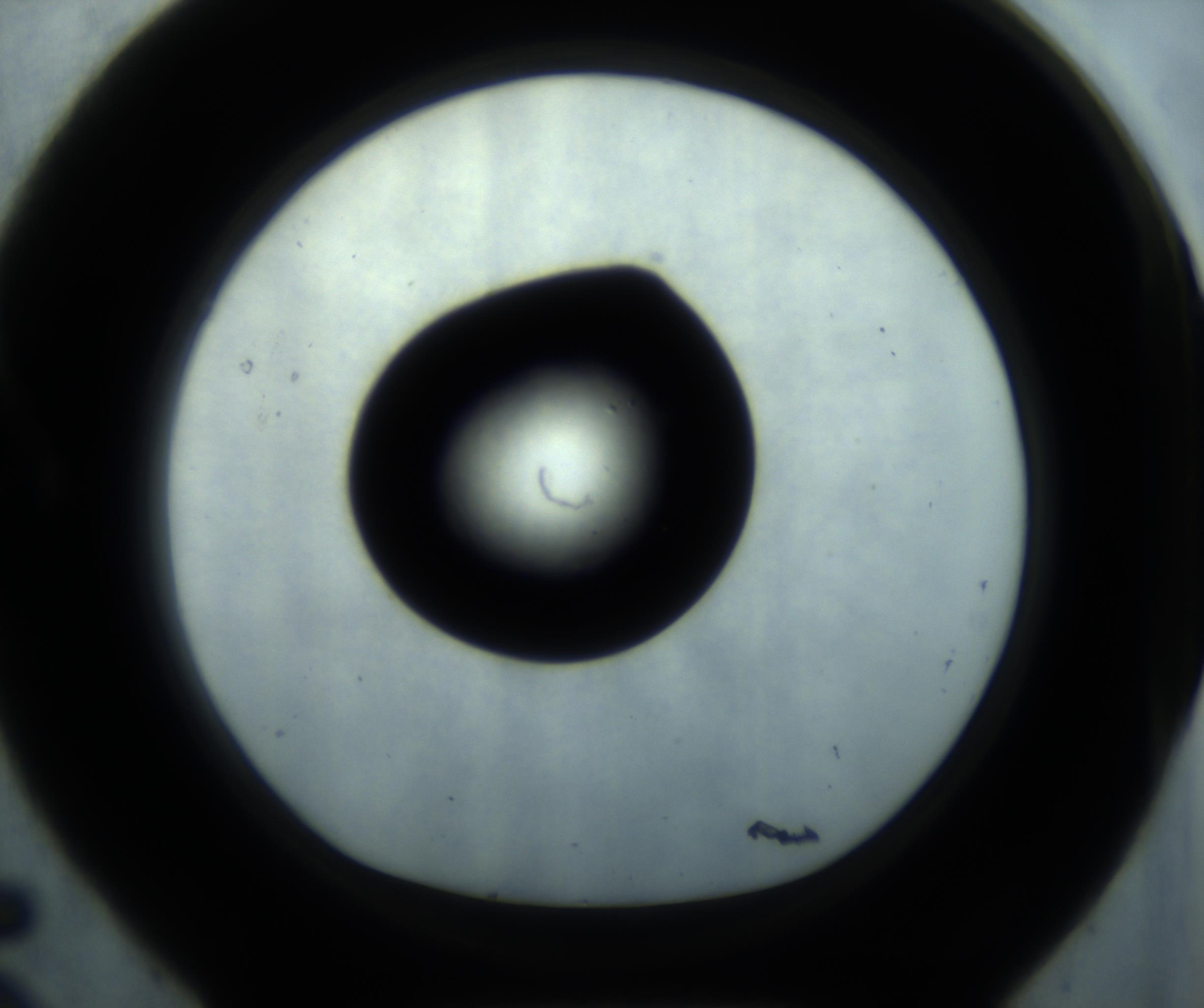 RI01_03_000_0212_Proj1_Clon1_MC_0000MC102869_001_161021_05_01_01_00_98_002_001_RAI.jpg