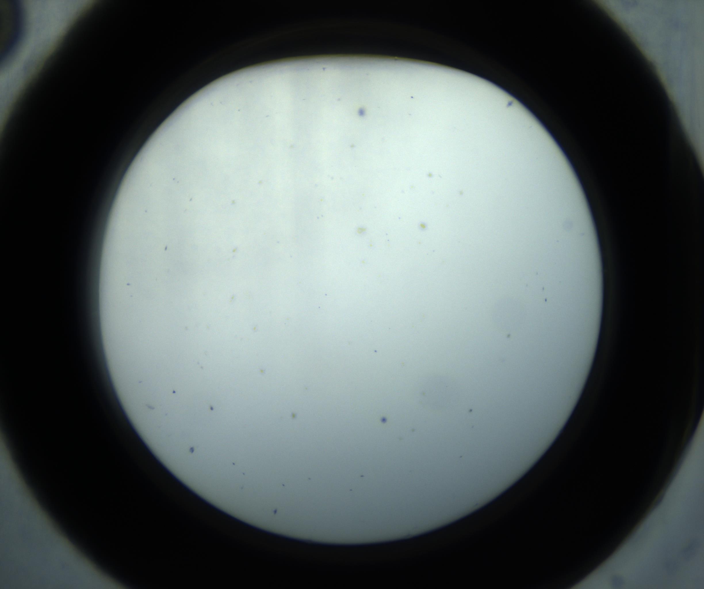 RI01_03_000_0212_Proj1_Clon1_MC_0000MC102869_001_161021_05_01_02_00_98_002_001_RAI.jpg